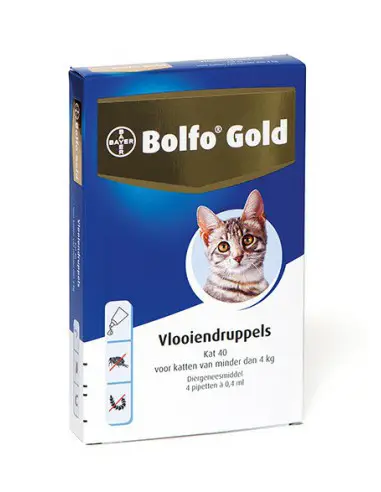 periscoop Beneden afronden Transparant Bolfo Gold Kat 40 – Tot 4kg – 4 pipetten | Snel werkend tegen vlooien