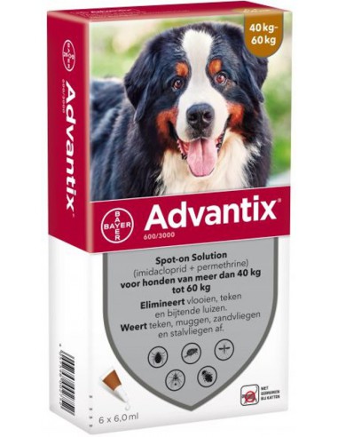 geloof grond Weggooien Advantix Hond 600 – 40 Tot 60 kg – 6 pipetten | Tegen vlooien en teken
