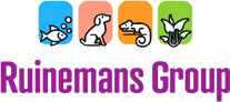 Ruinemans