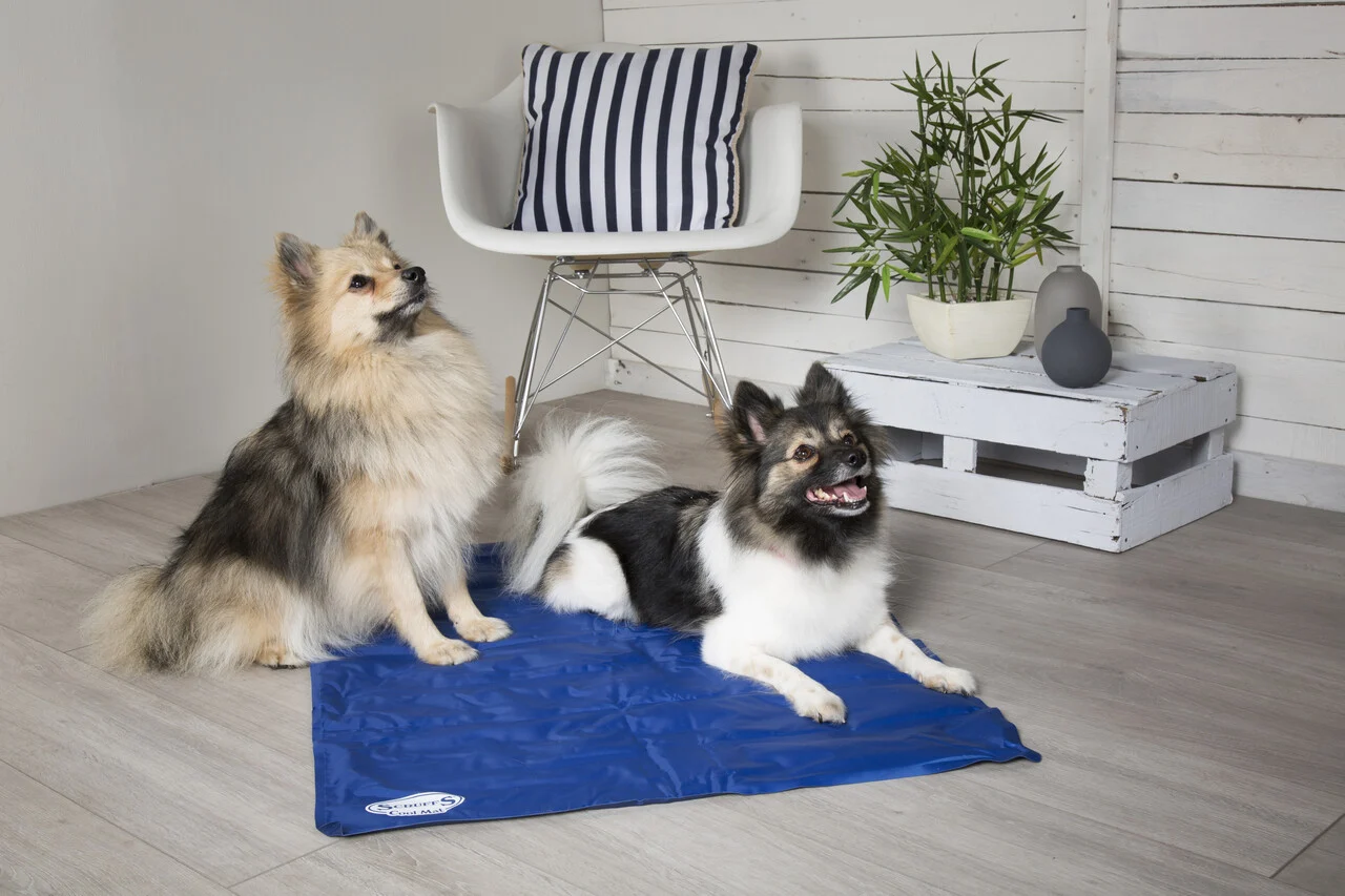 Scruffs Cooling Mat Blauw S 50 X 40 CM