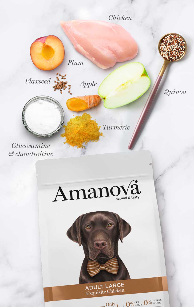 Amanova Adult Large Exquisite Chicken 12KG
