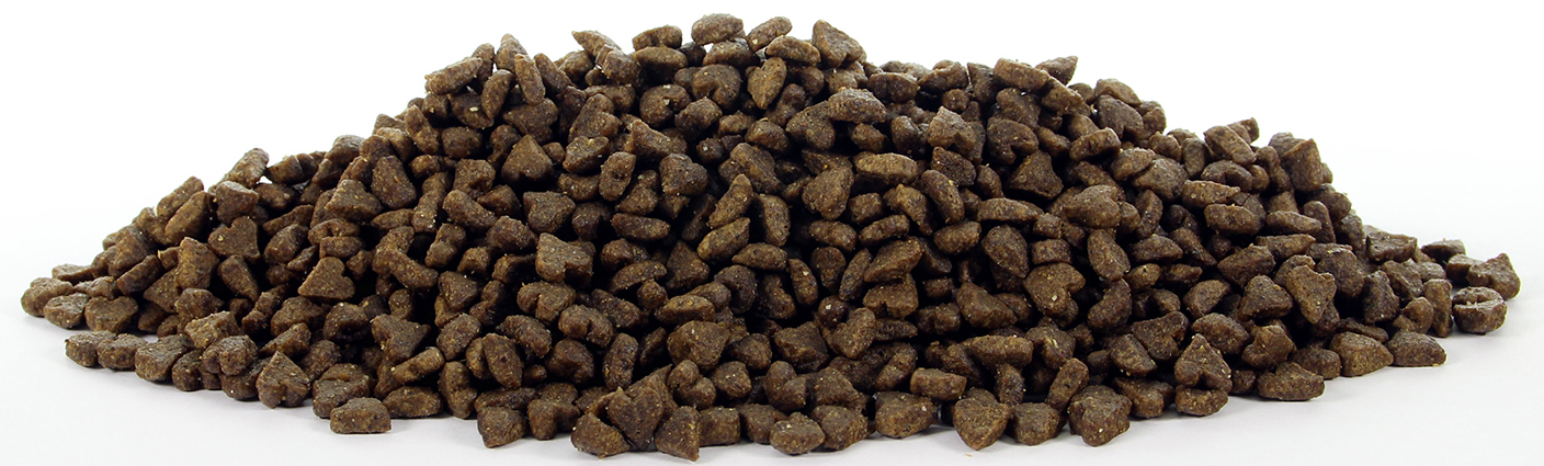 Natural Health Dog Carnivore Small Bite