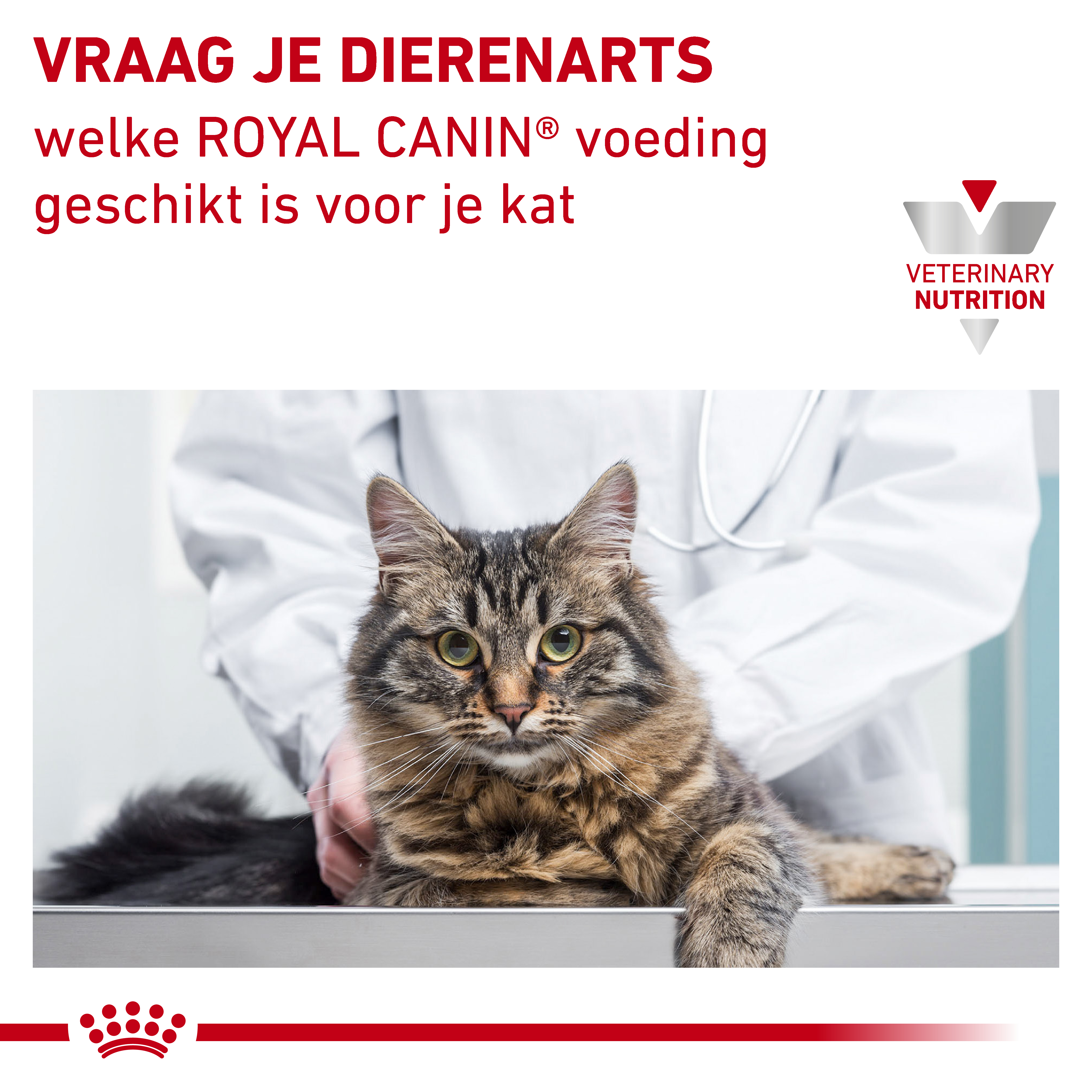 Royal Canin Veterinary Cat Urinary S/O Moderate Calorie