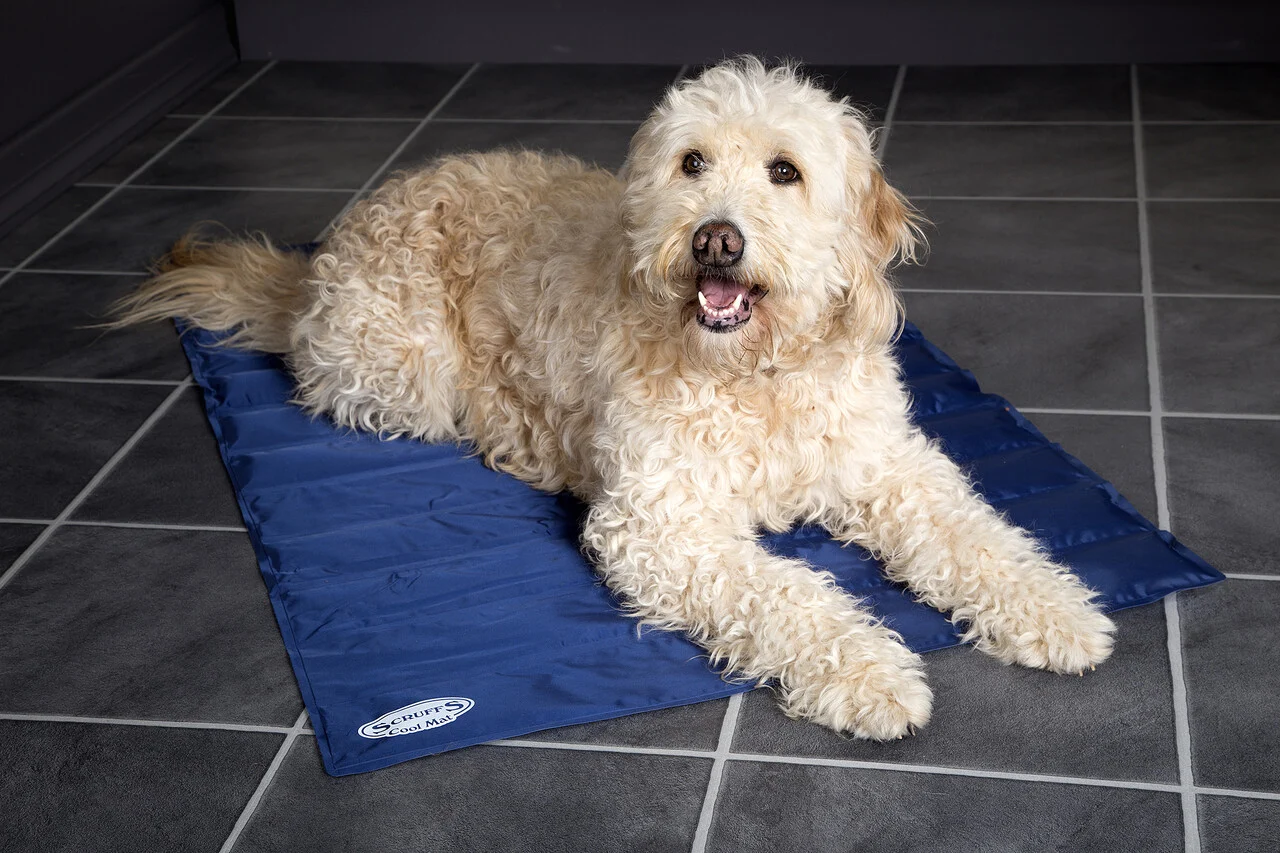 Scruffs Cooling Mat Blauw L 92 X 69