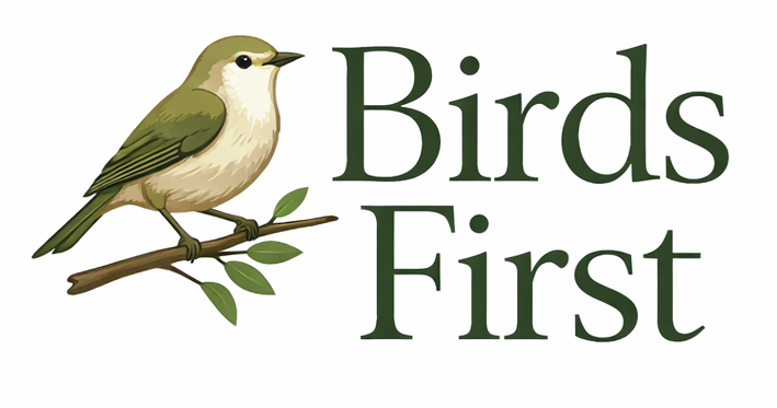 Birds First