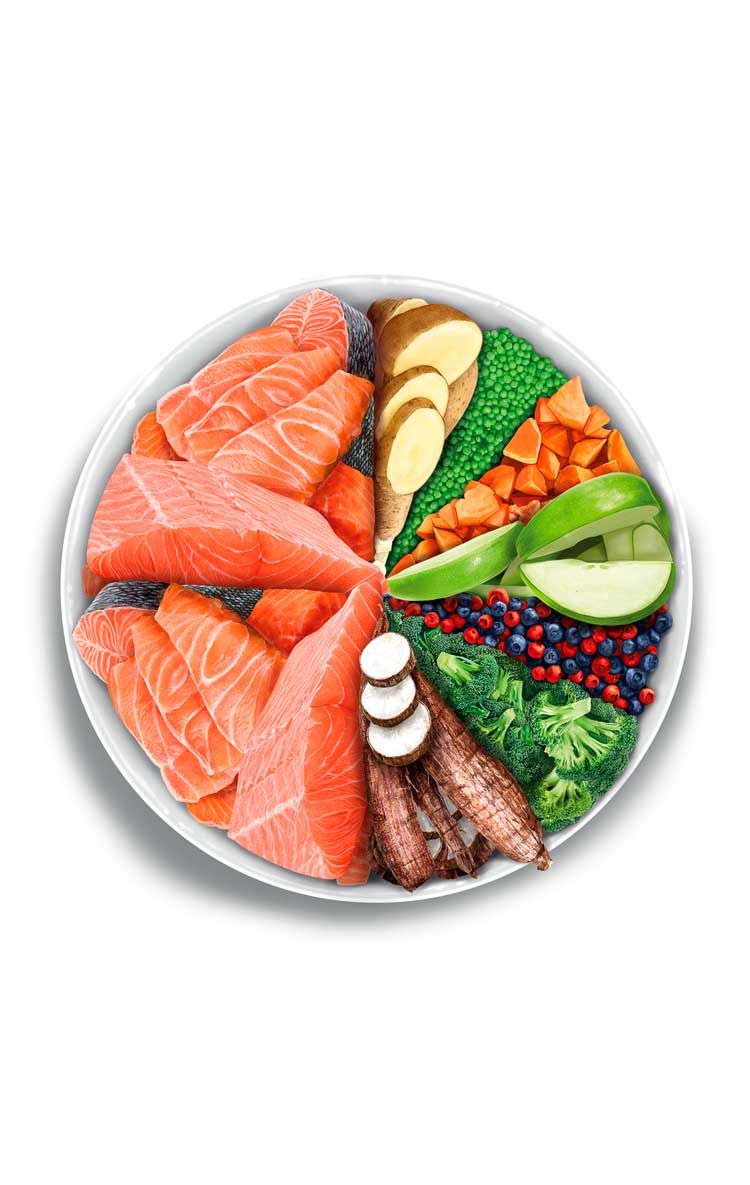 Amanova Adult Sensitive Salmon Deluxe