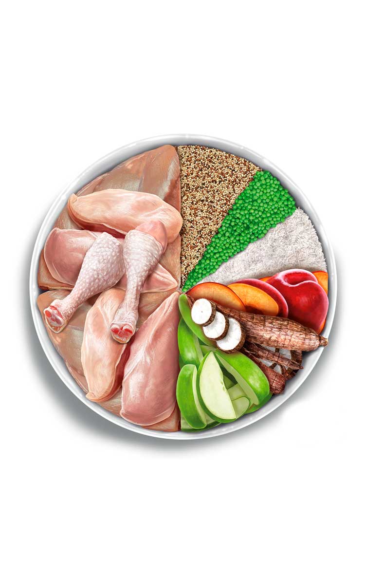 Amanova Adult Mini Exquisite Chicken