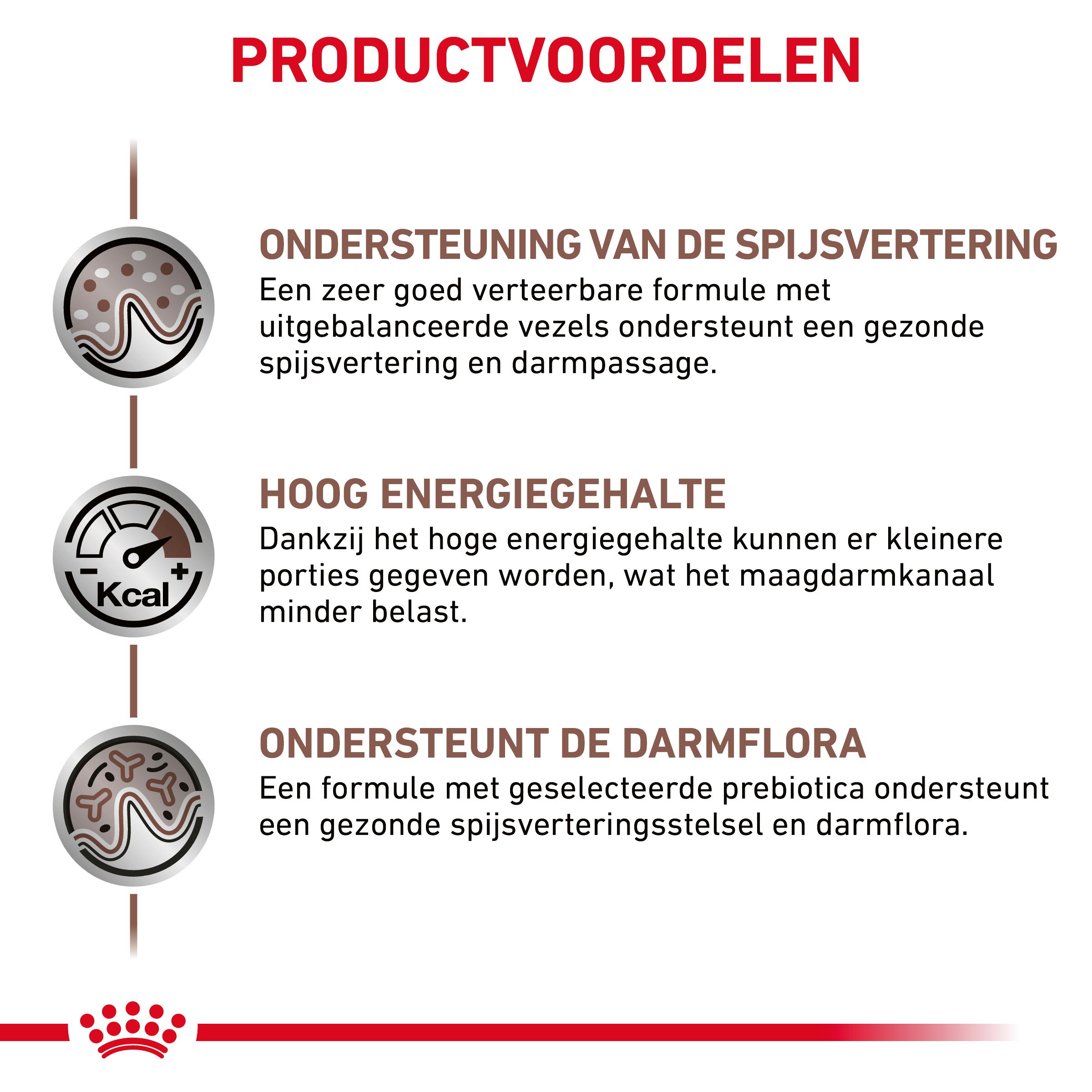 Royal Canin Veterinary Cat Gastrointestinal
