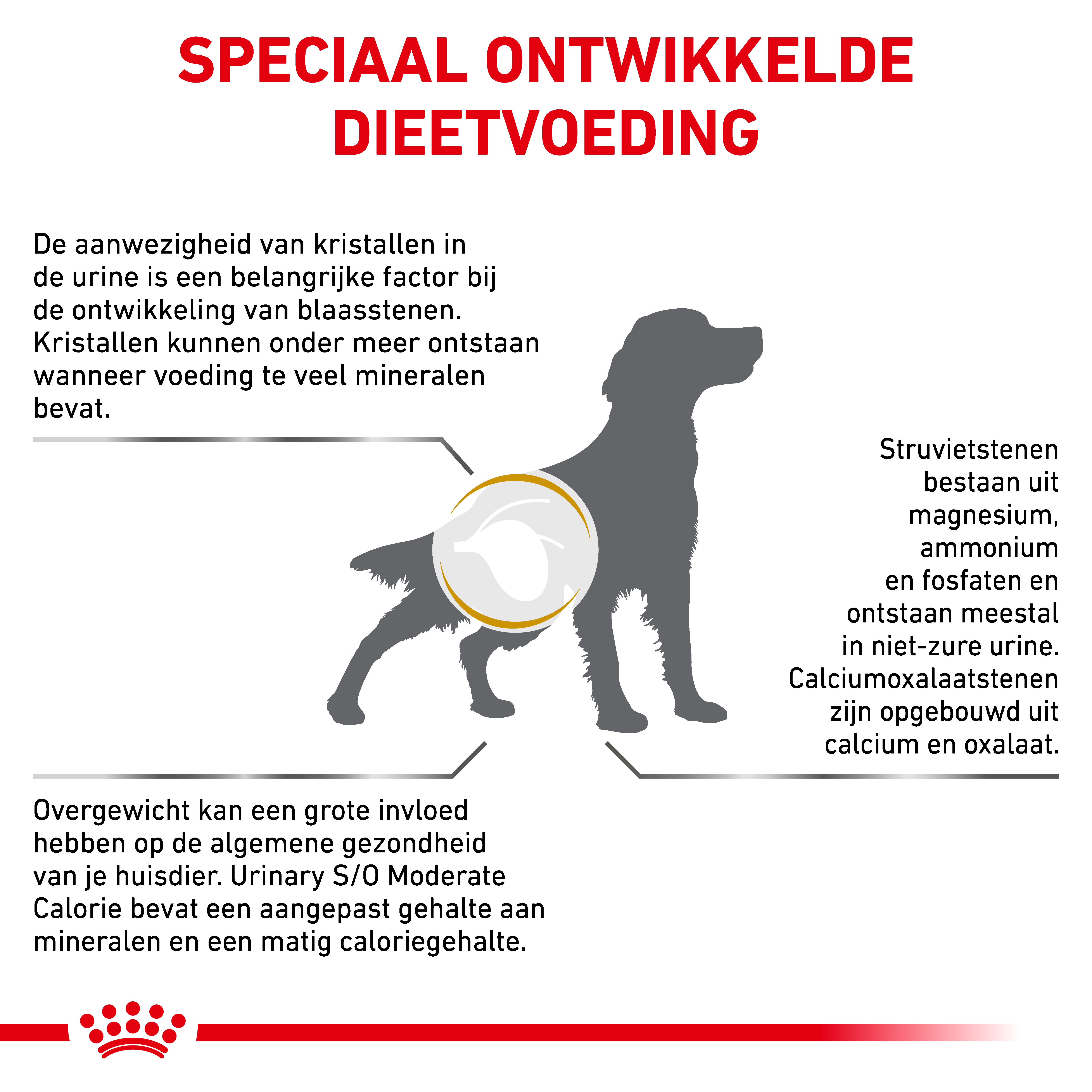 Royal Canin Veterinary Dog Urinary S/O Moderate Calorie
