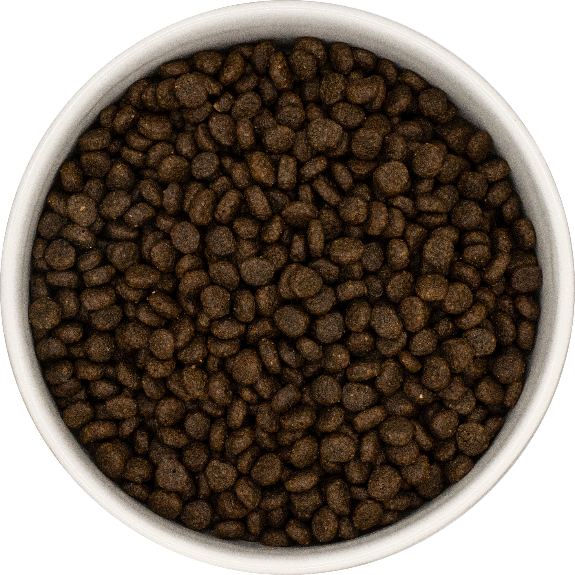 Dogs First Zalm met Forel, Zoete Aardappel & Asperge | Kleine honden