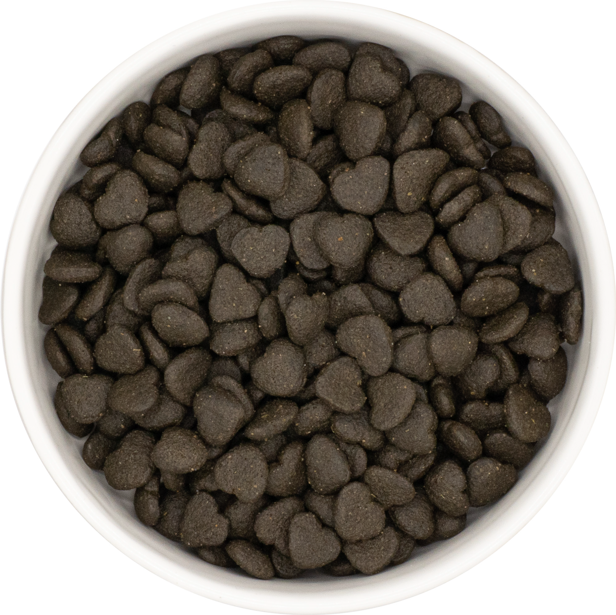 Dogs First Vetrinary Dental