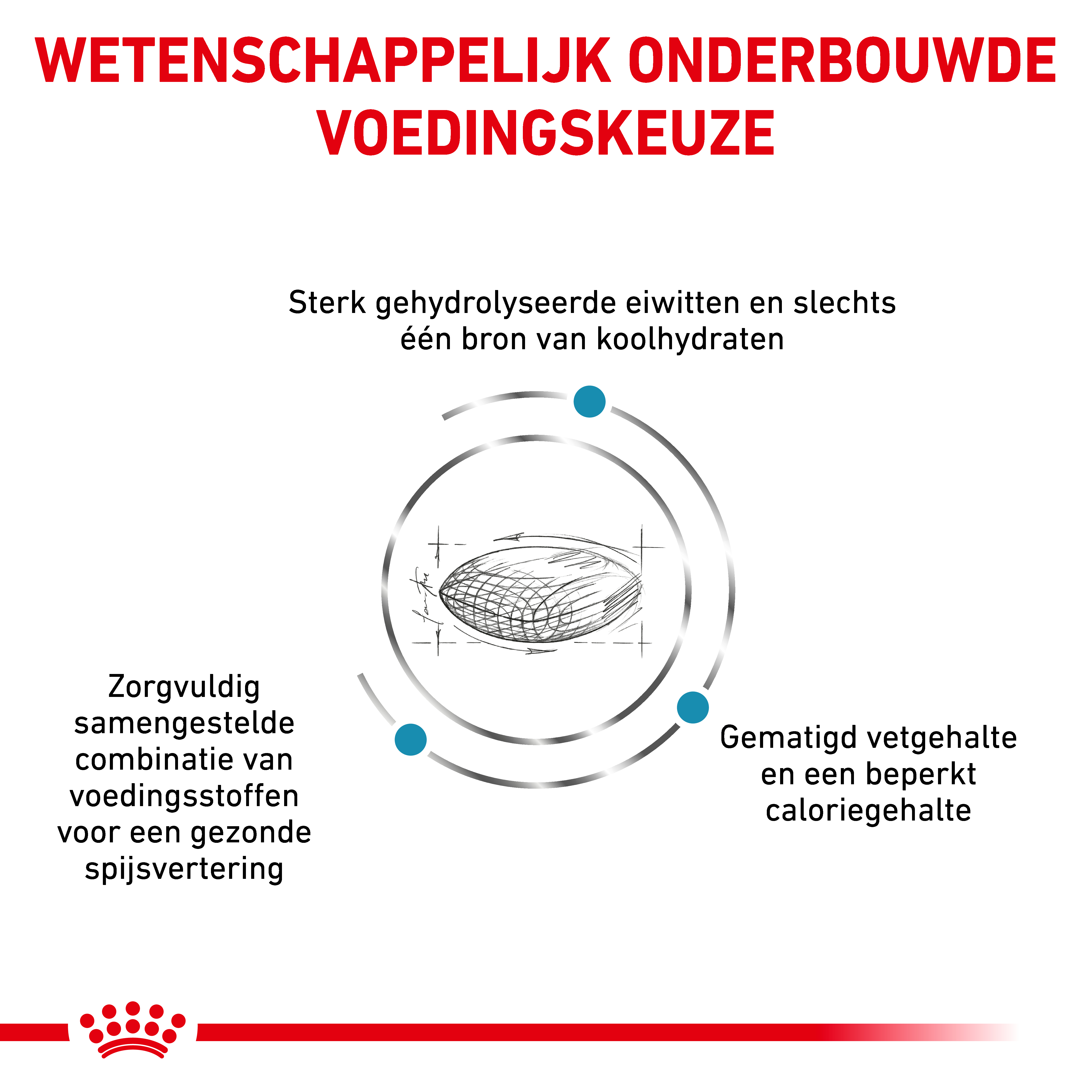Royal Canin Veterinary Dog Hypoallergenic Moderate Calorie
