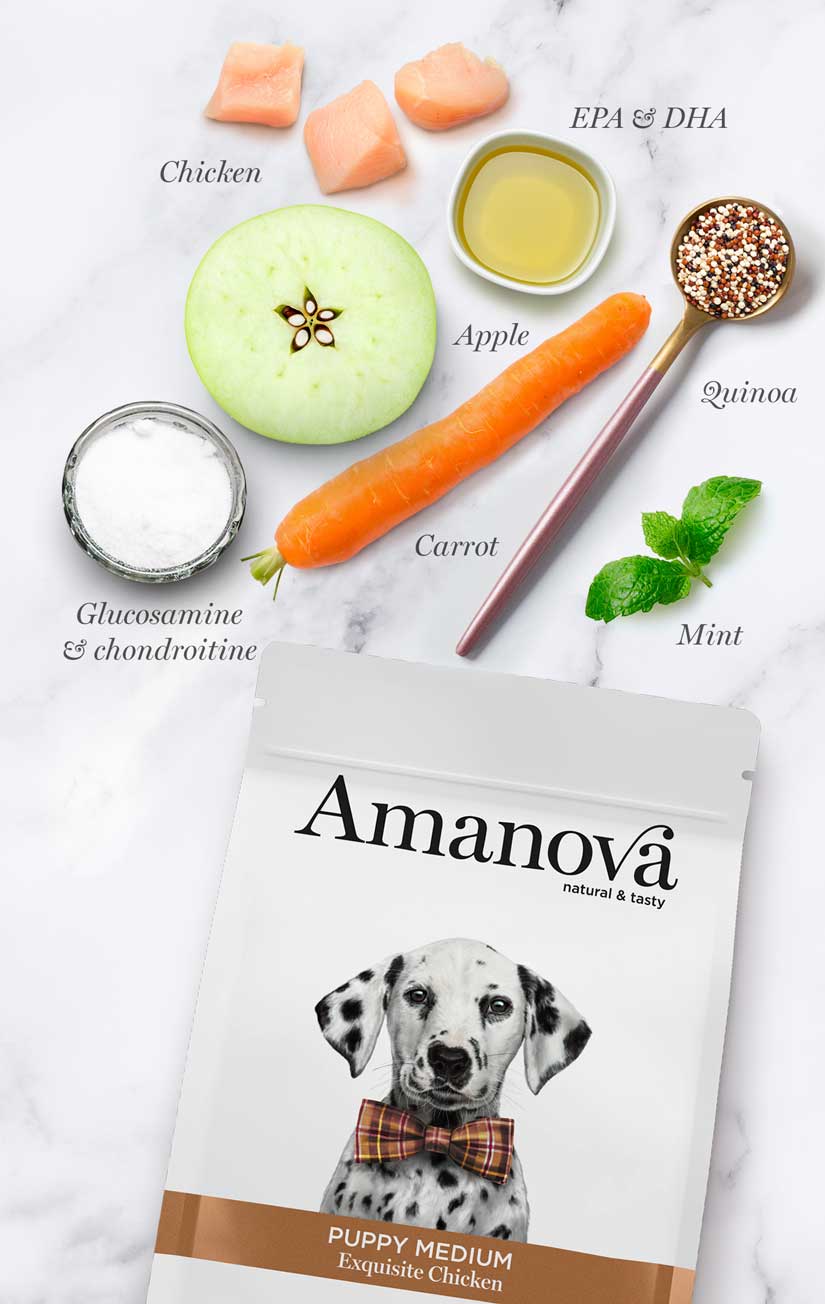 Amanova Puppy Medium Exquisite Chicken 12KG