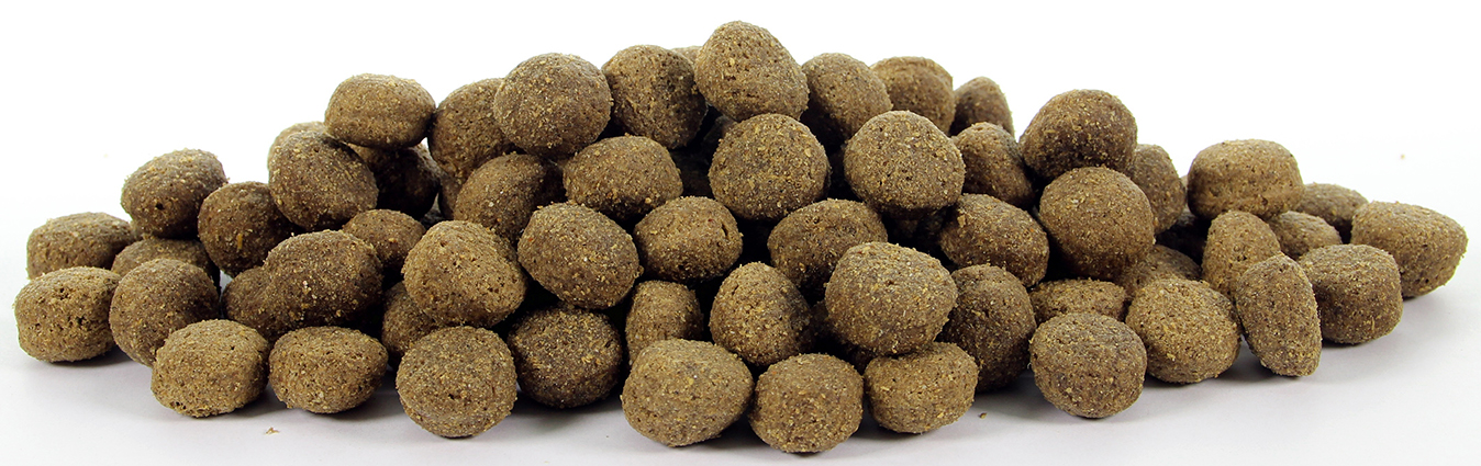 Natural Health Dog Lamb & Rice Large Bite