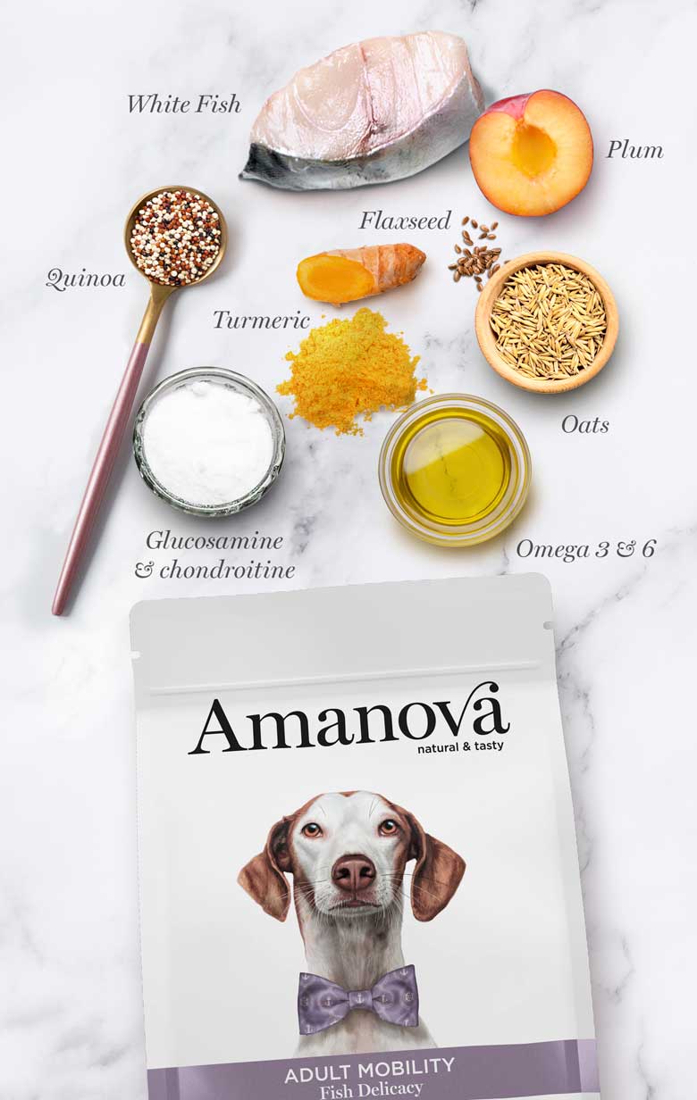 Amanova Adult Mobility Fish Delicacy