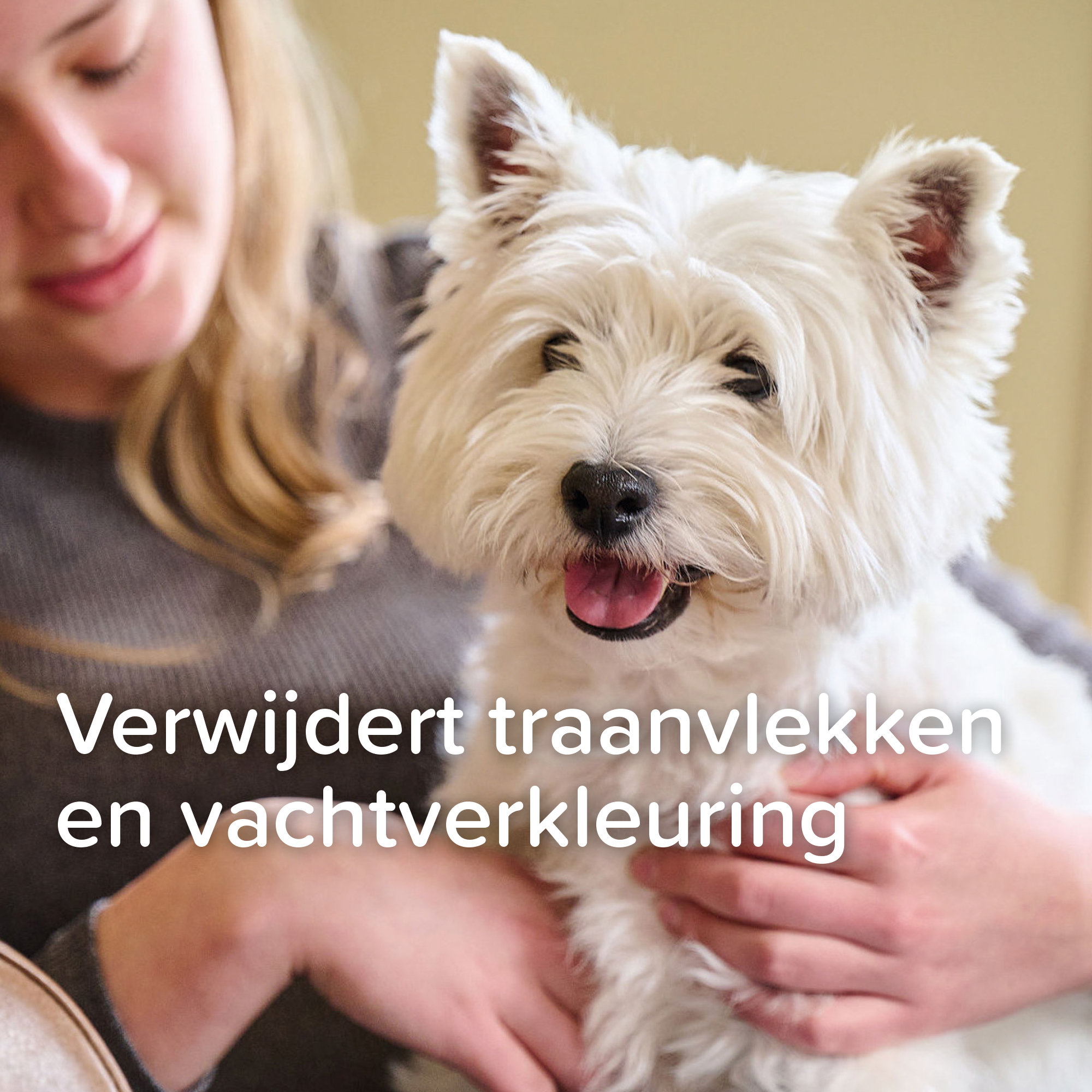 Beaphar Traansmeerverwijderaar 50 ML