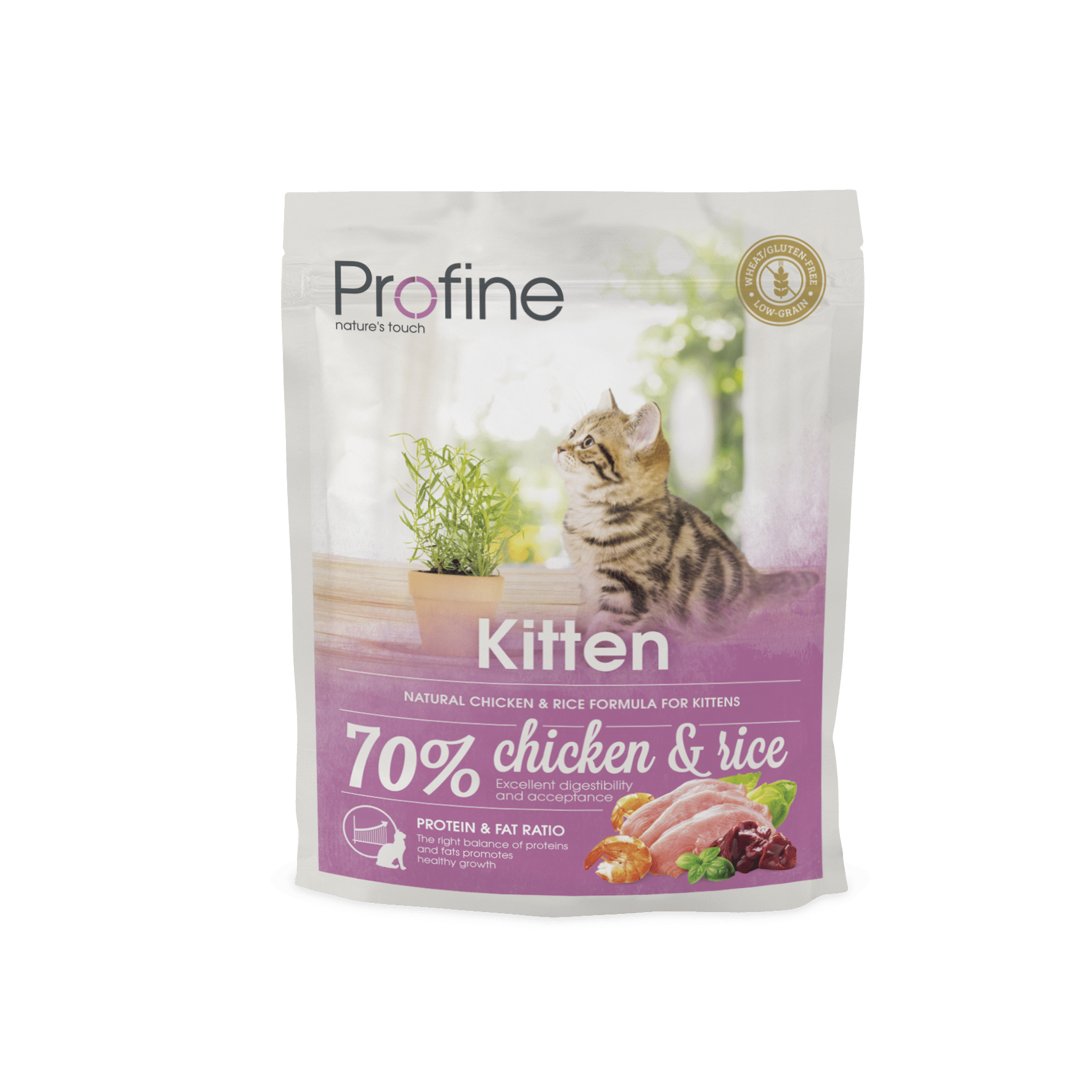 Profine Cat Kitten