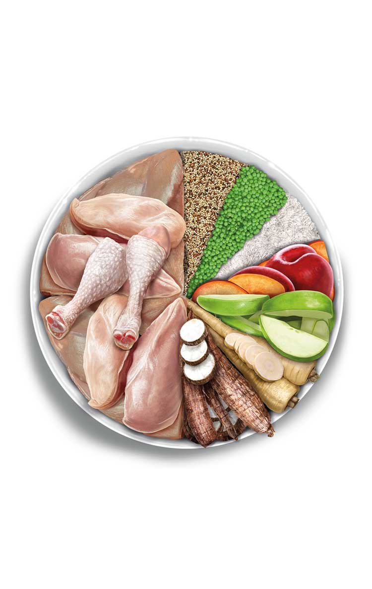 Amanova Adult Medium Exquisite Chicken