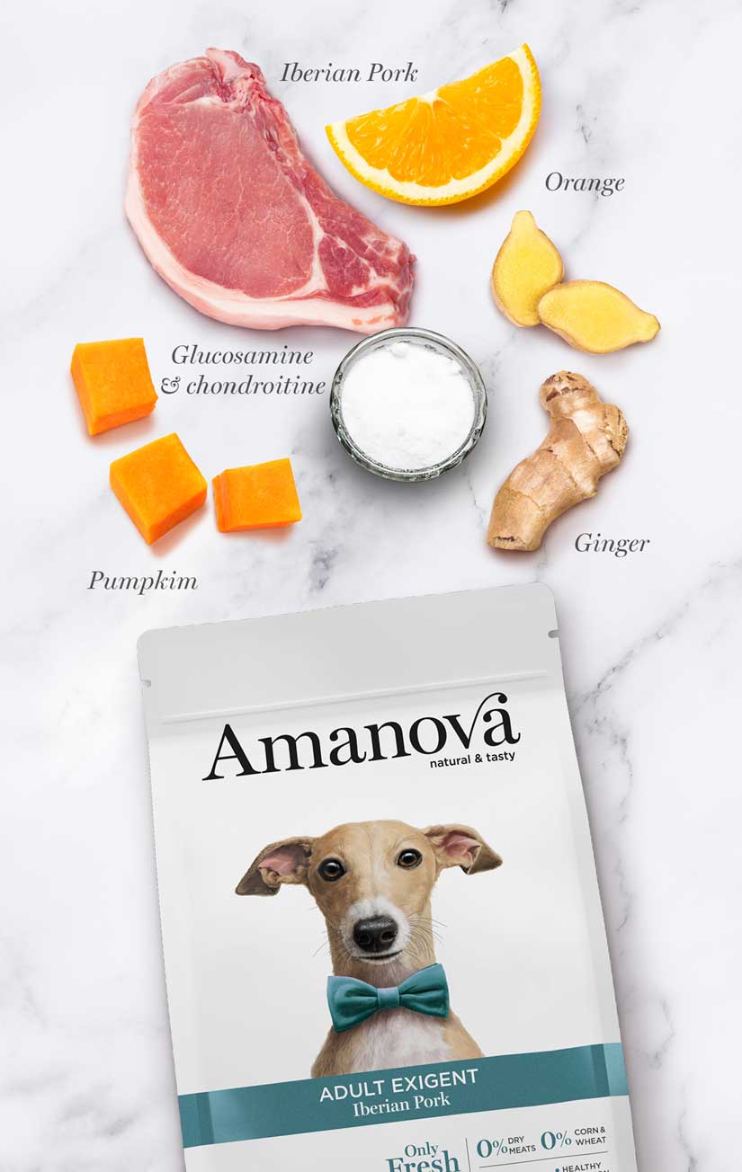 Amanova Adult Exigent Iberian Pork