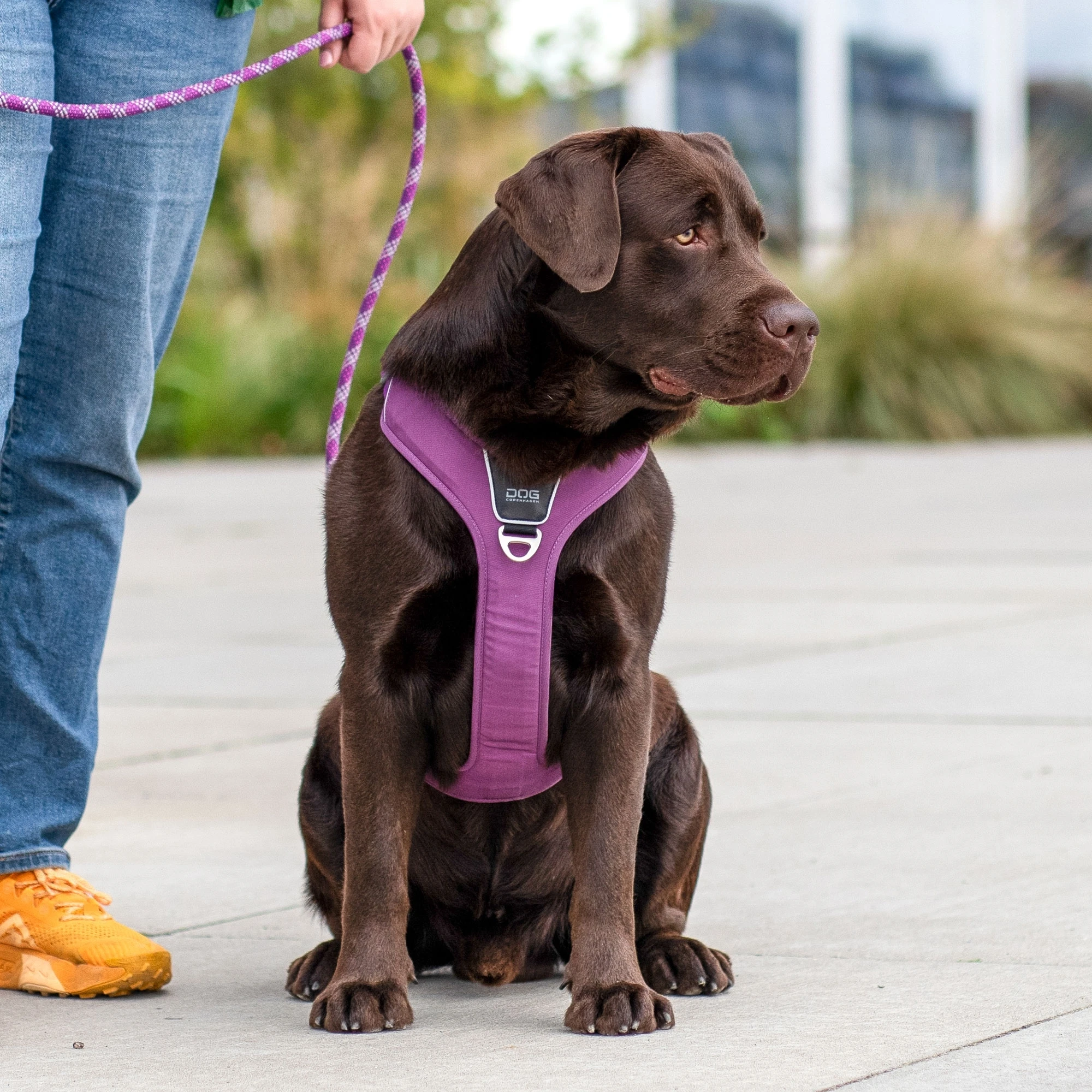 DOG Copenhagen tuig | Comfort Walk Pro Groen