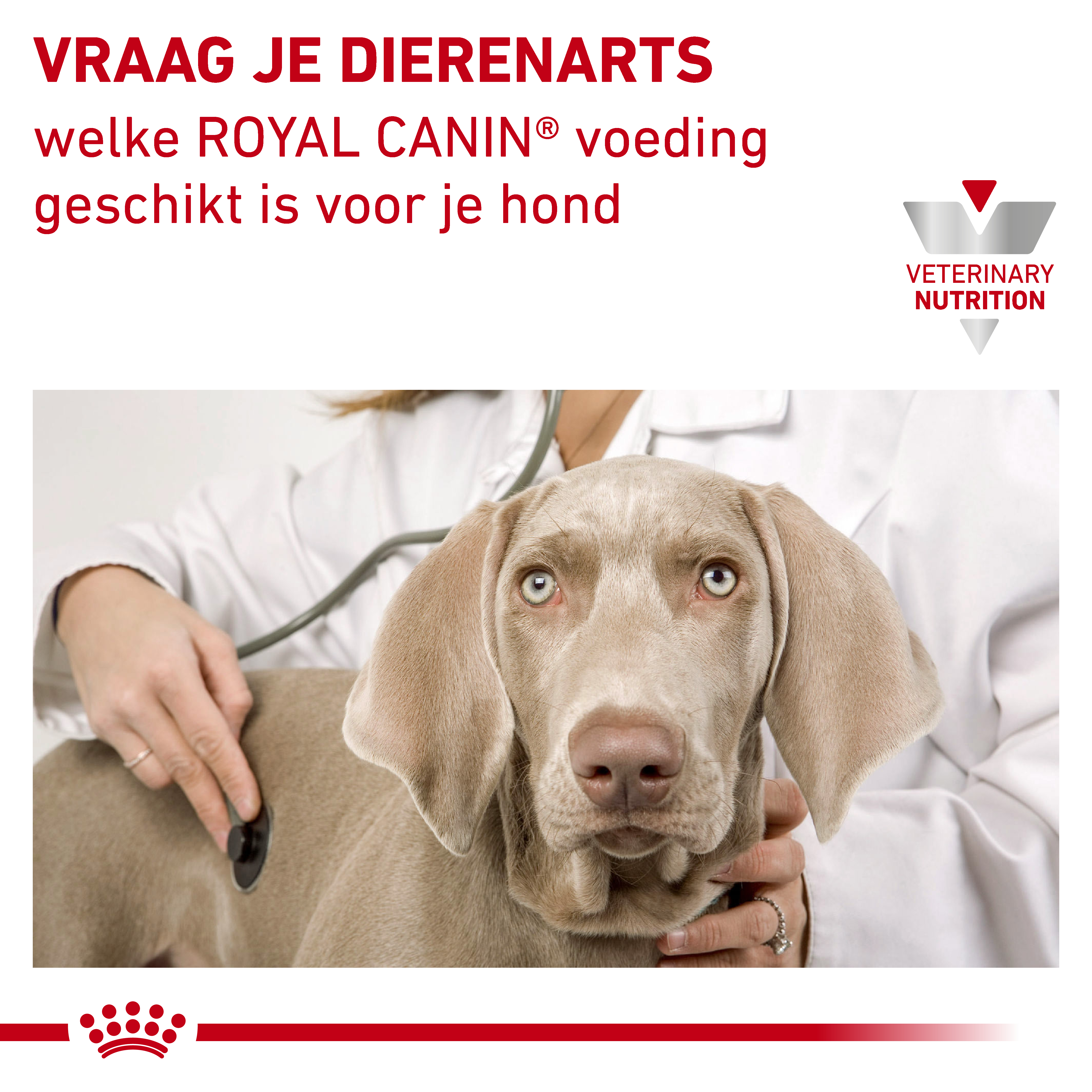 Royal Canin Veterinary Dog Urinary S/O Small Breed
