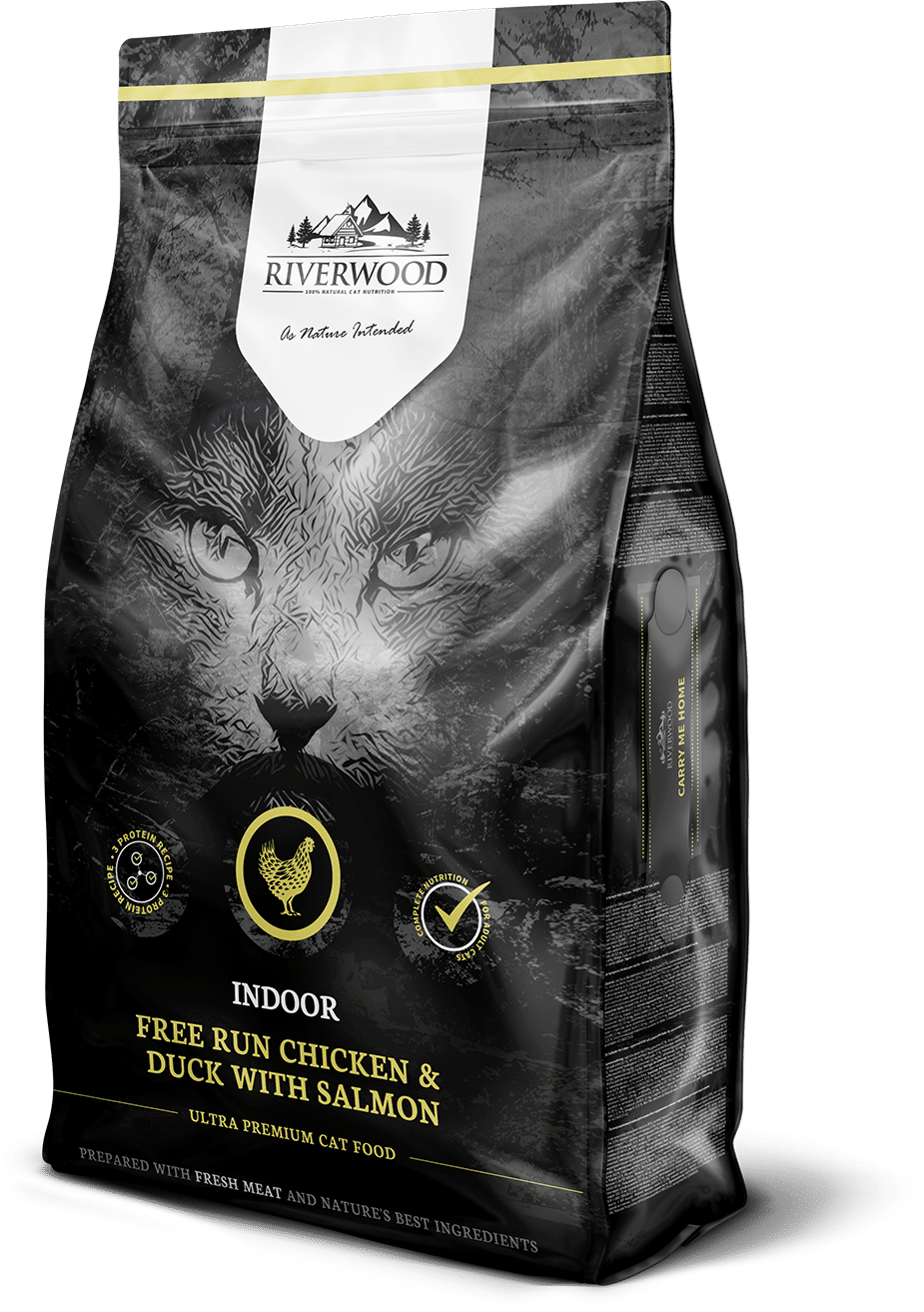 Riverwood Cat Indoor