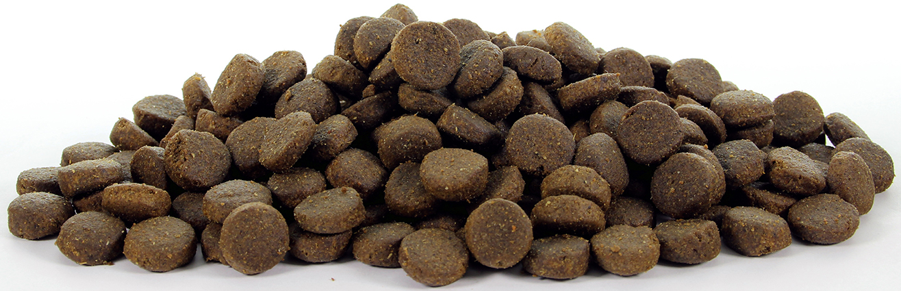 Natural Health Dog Carnivore Adult