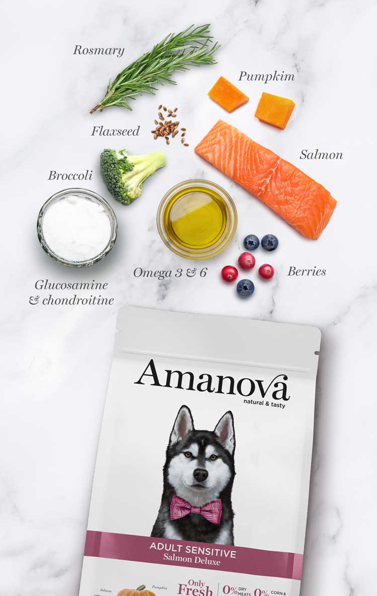 Amanova Adult Sensitive Salmon Deluxe
