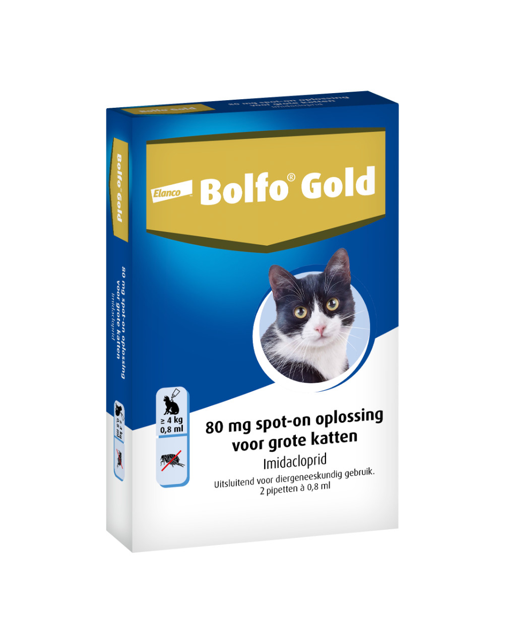 Bolfo Gold Kat 80 – Vanaf 4 kg – 4 pipetten