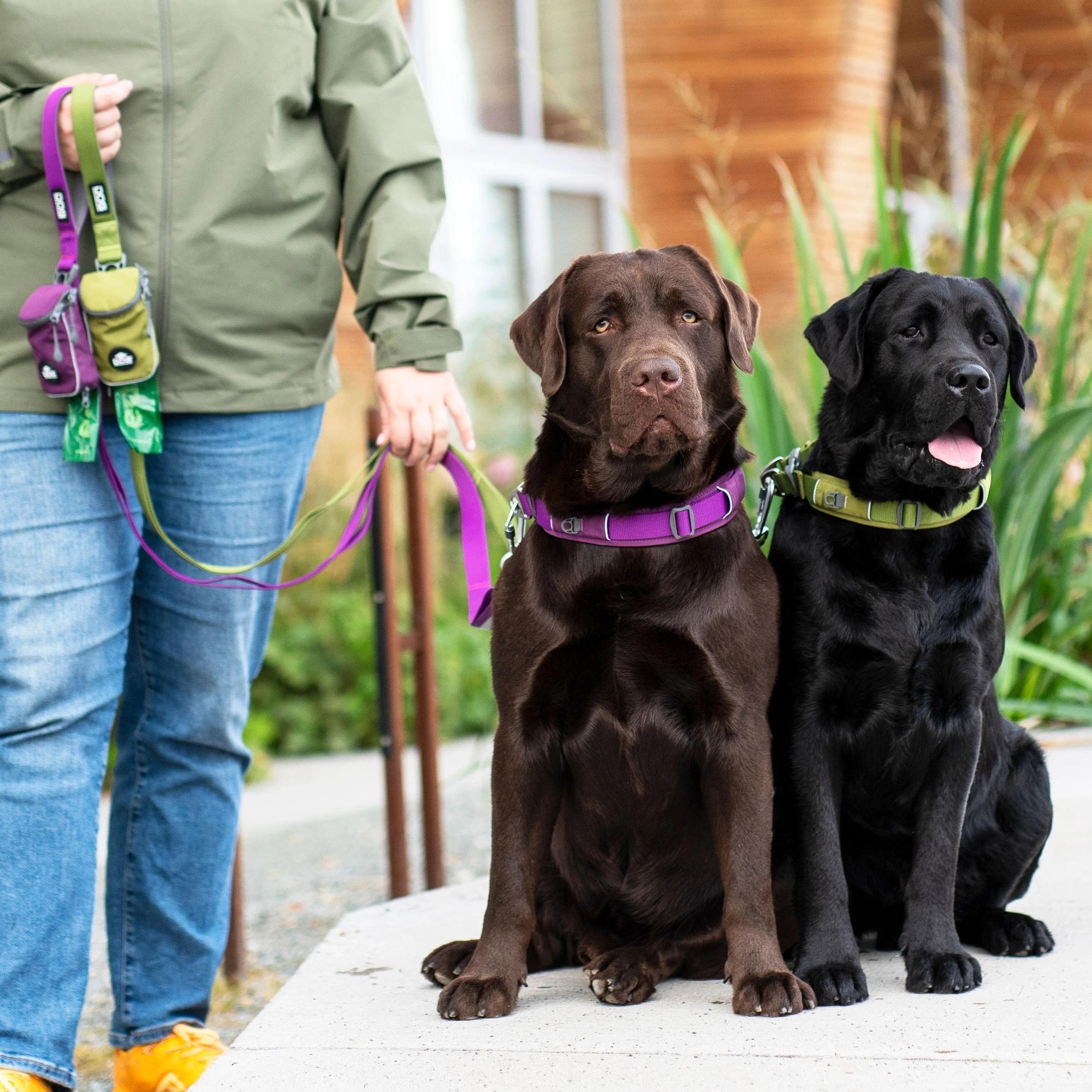 DOG Copenhagen honden halsband | Bruin