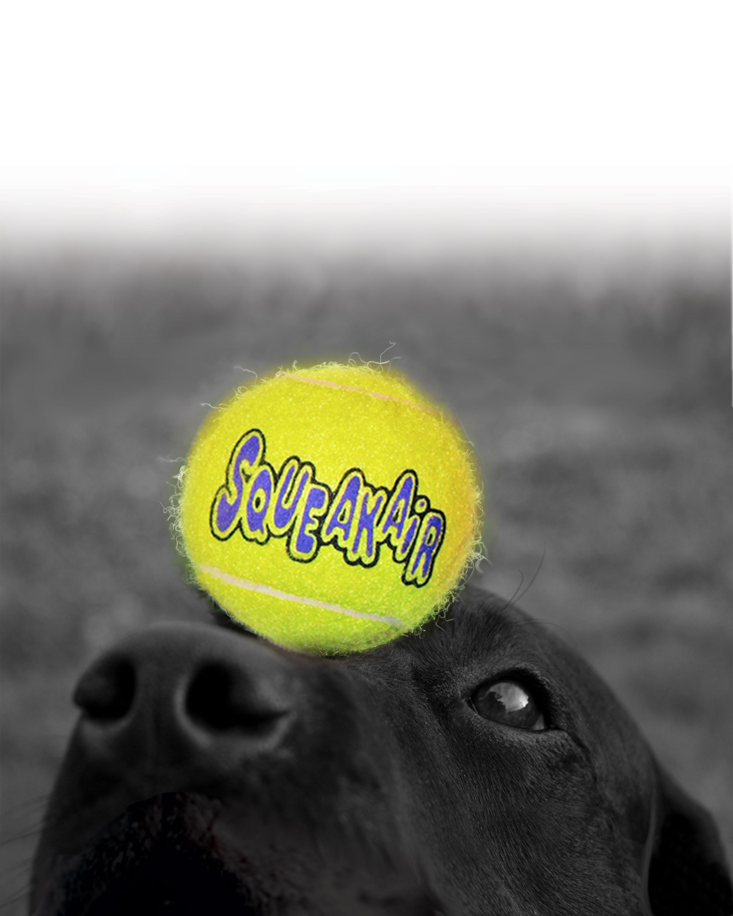 Kong Air Squeaker Tennisbal Large Ø 7,5 CM
