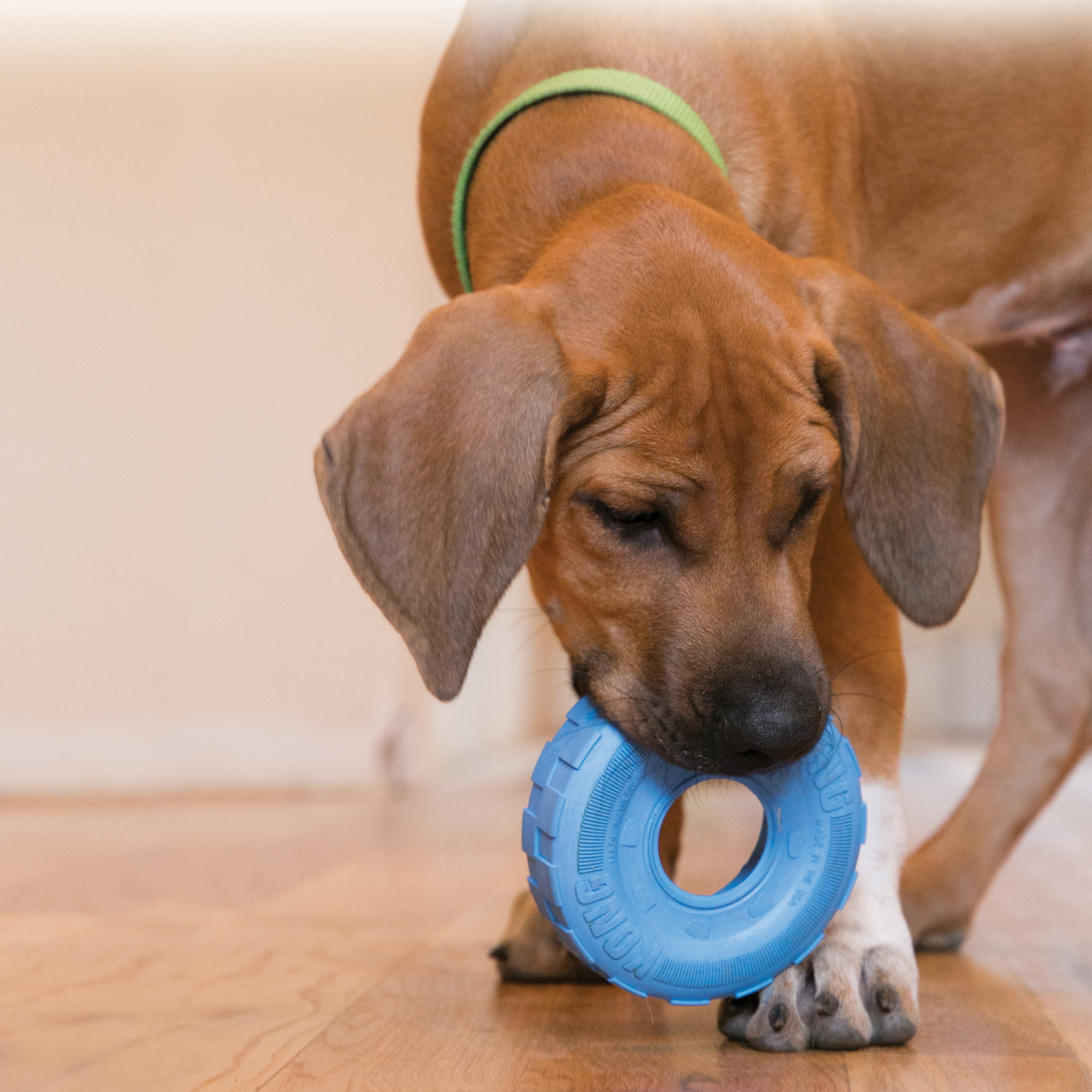 Tires Puppy Small 14,5 CM Assorti