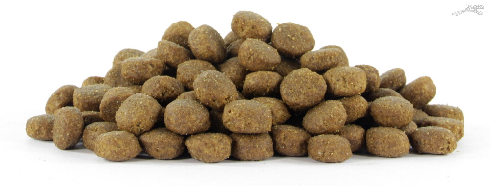 Natural Health Dog Chicken & Rice Puppy Large