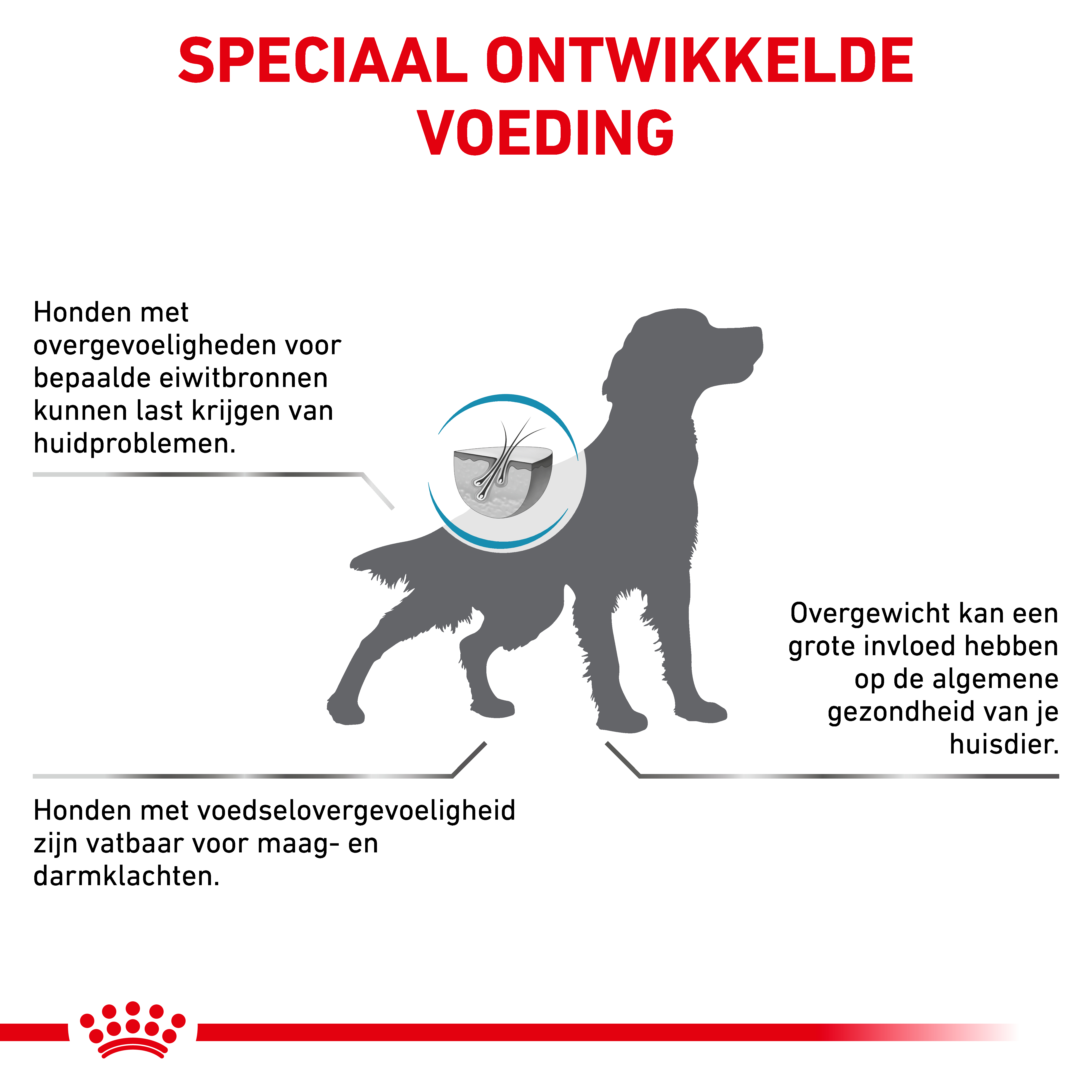 Royal Canin Veterinary Dog Hypoallergenic Moderate Calorie