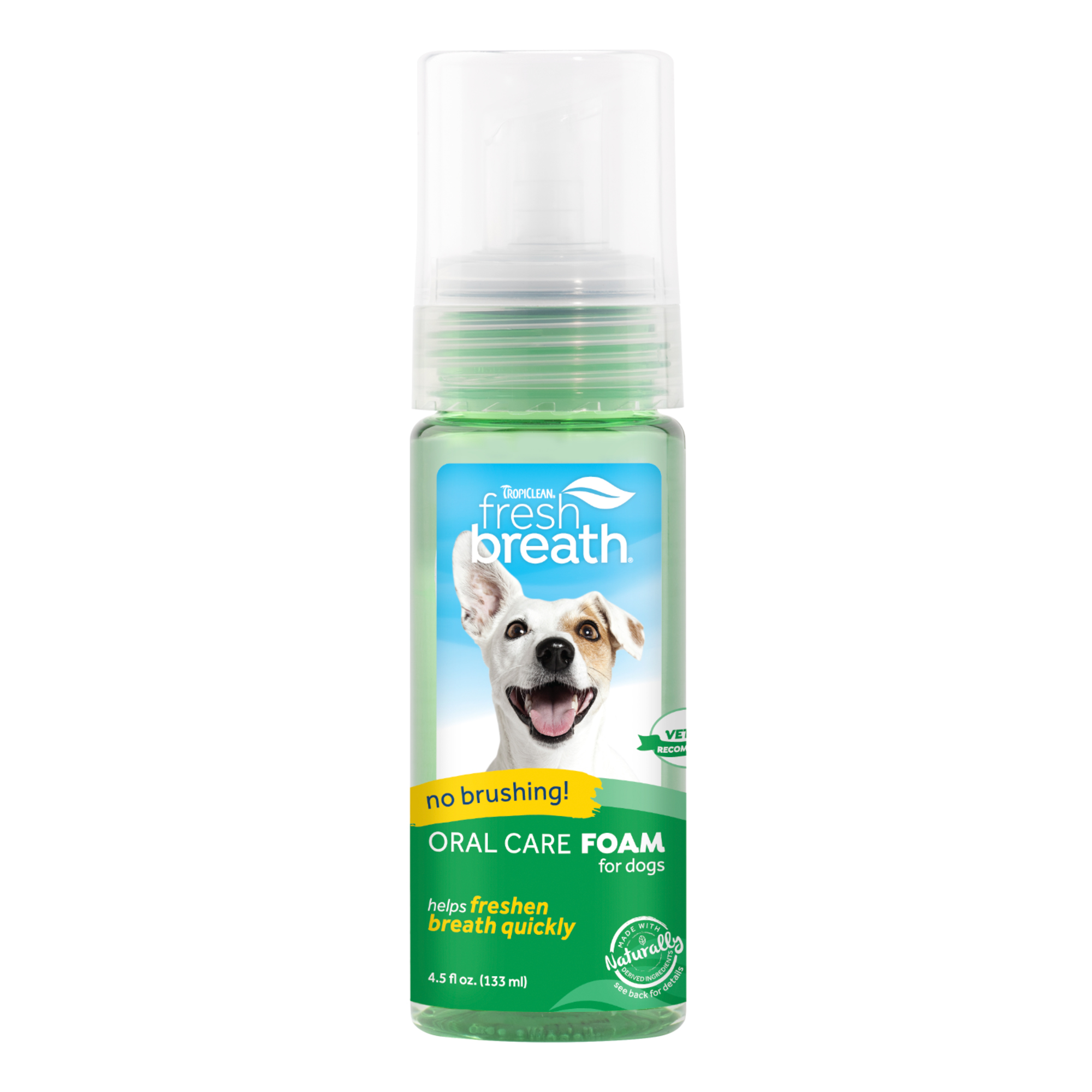 Fresh Breath Oral Care Foam 133 ML