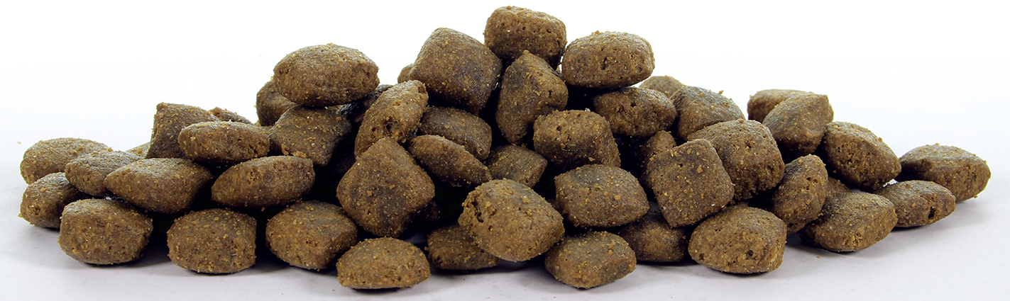 Natural Health Dog Fish & Rice Large Bite