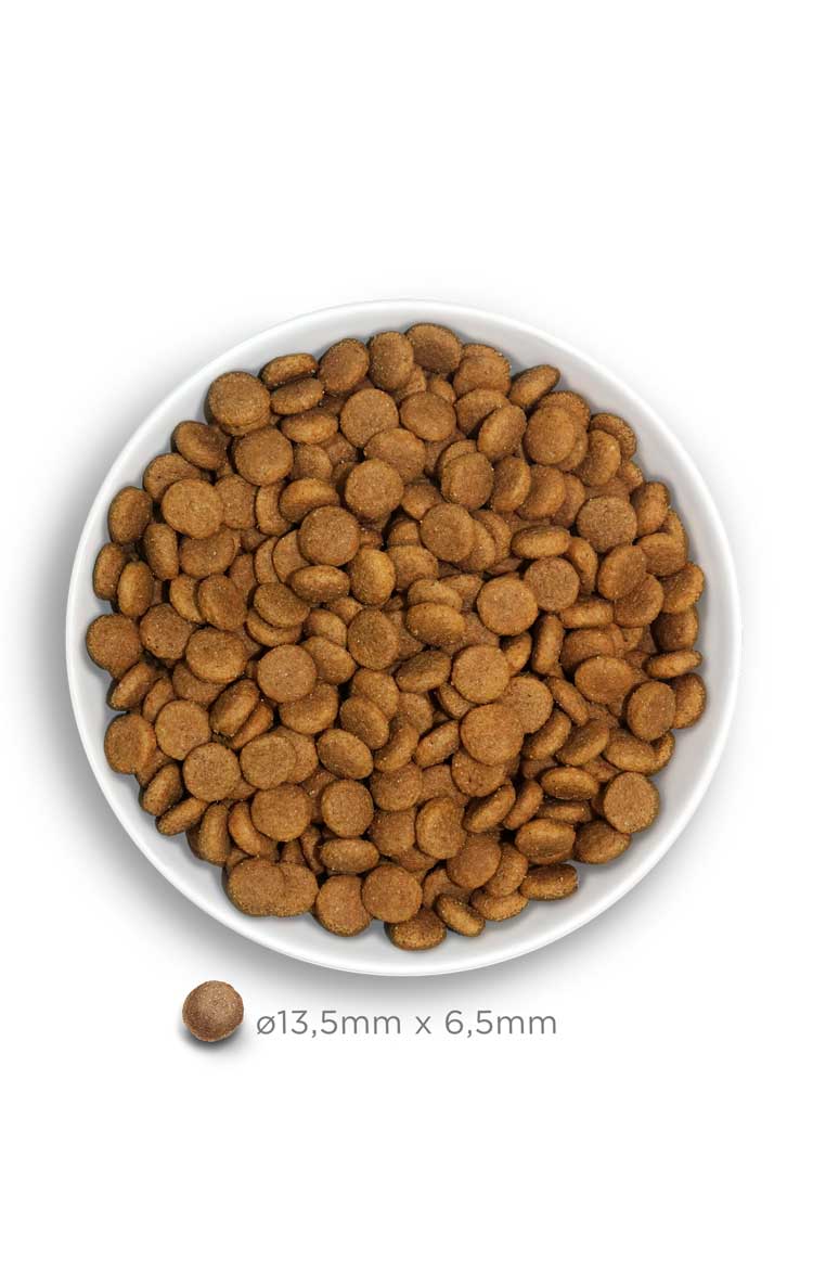 Amanova Adult Medium Exquisite Chicken