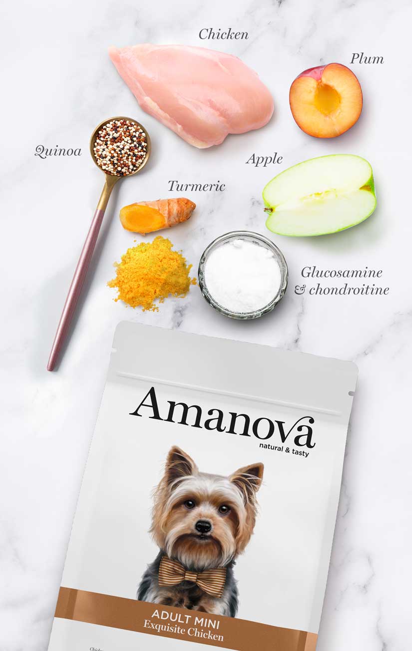 Amanova Adult Mini Exquisite Chicken