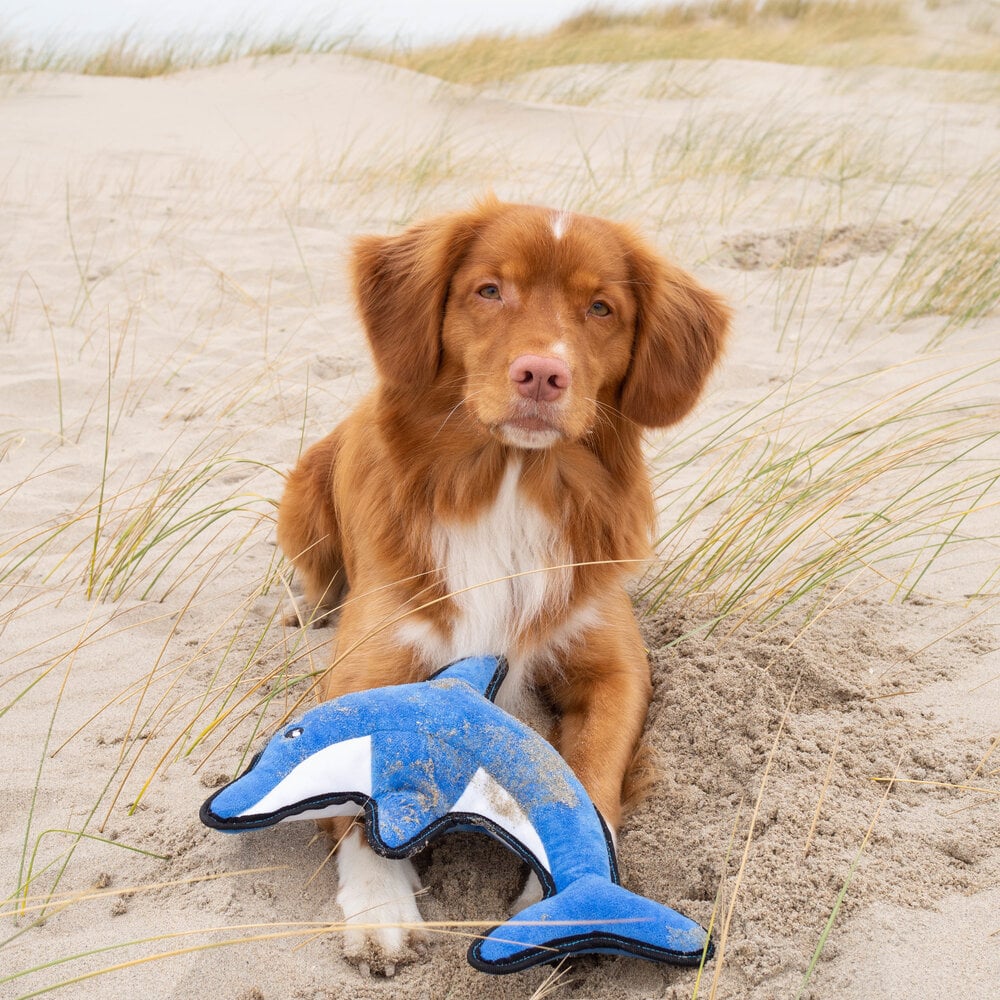 Beco Plush Toy Dolphin Medium