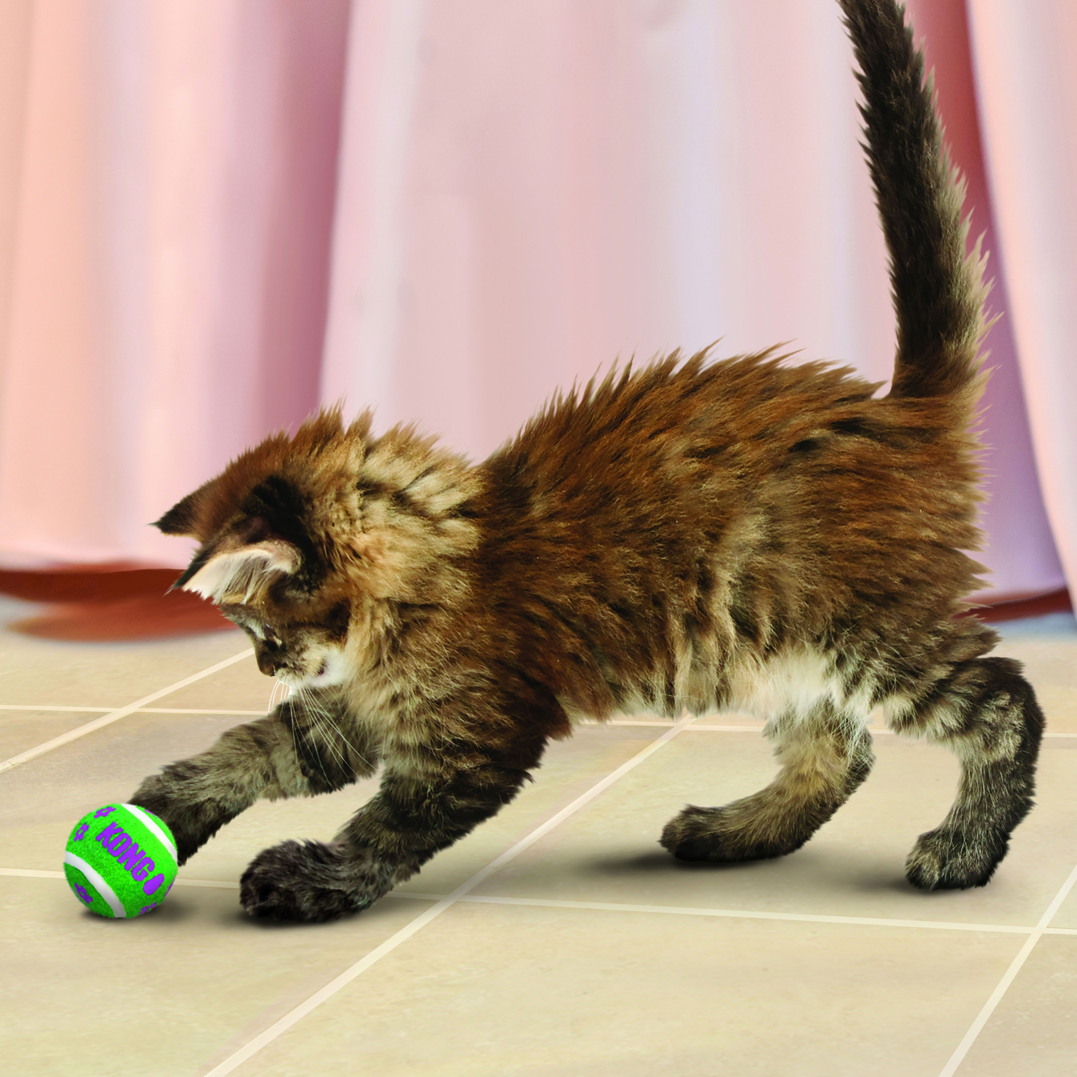 Kong Kat Active, Tennis Balls With Bells.