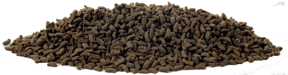 Natural Health Cat Carnivore Fish & Beans