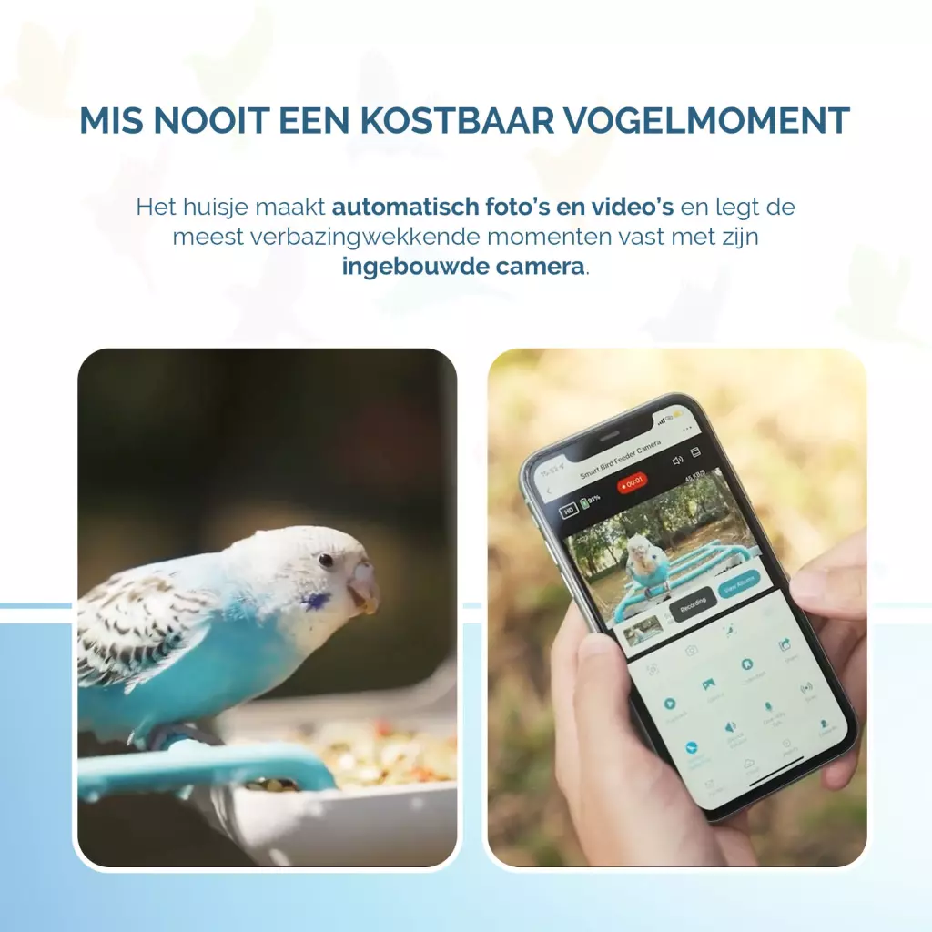 Birds First AI Bird Feeder met Camera 1080P – Slim Vogelvoederhuis met AI Vogelherkenning