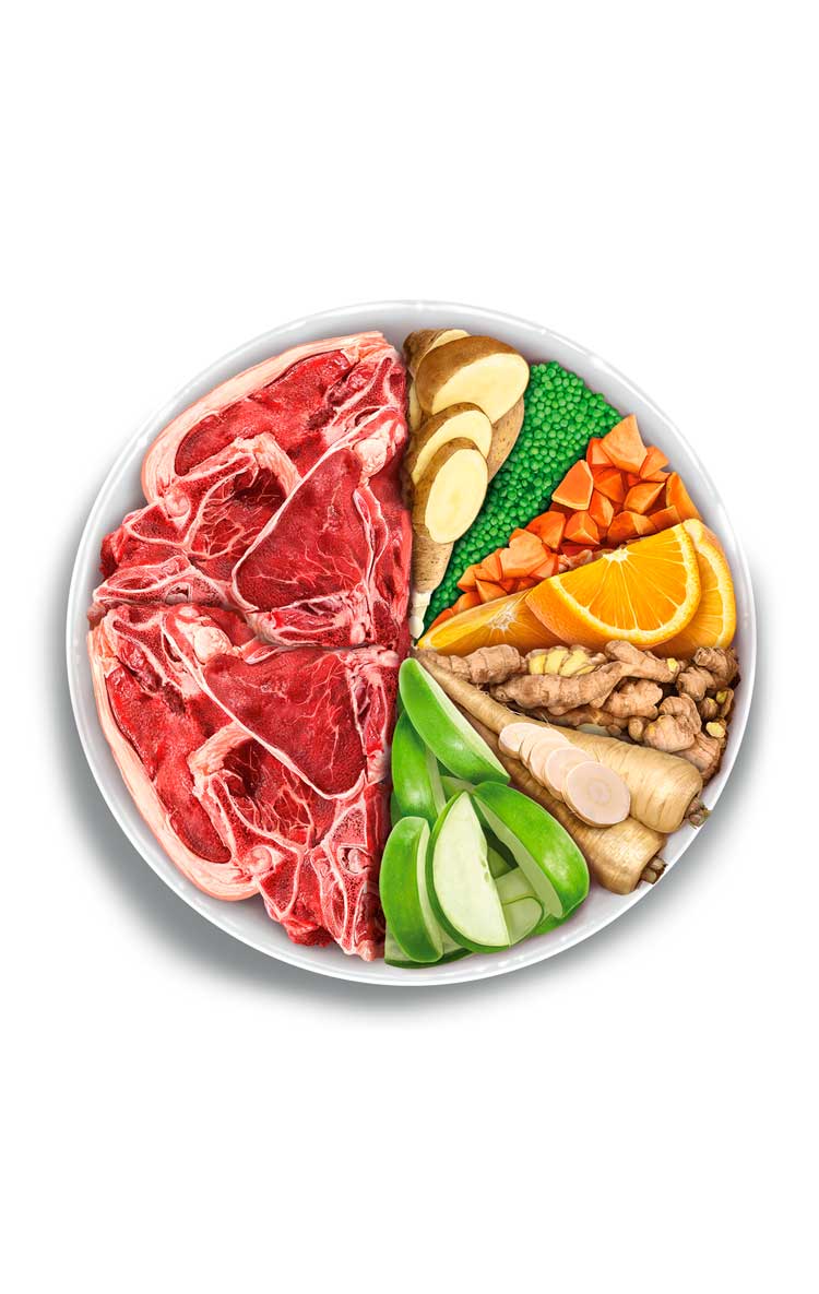 Amanova Adult Mini Sensitive Delicious Lamb