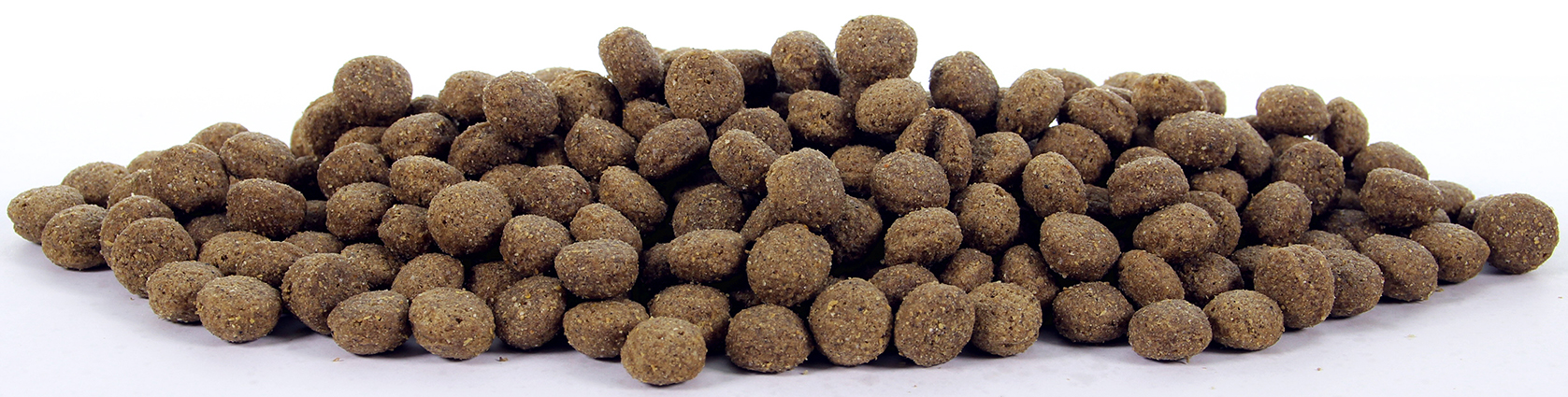 Natural Health Dog Lamb & Rice Adult