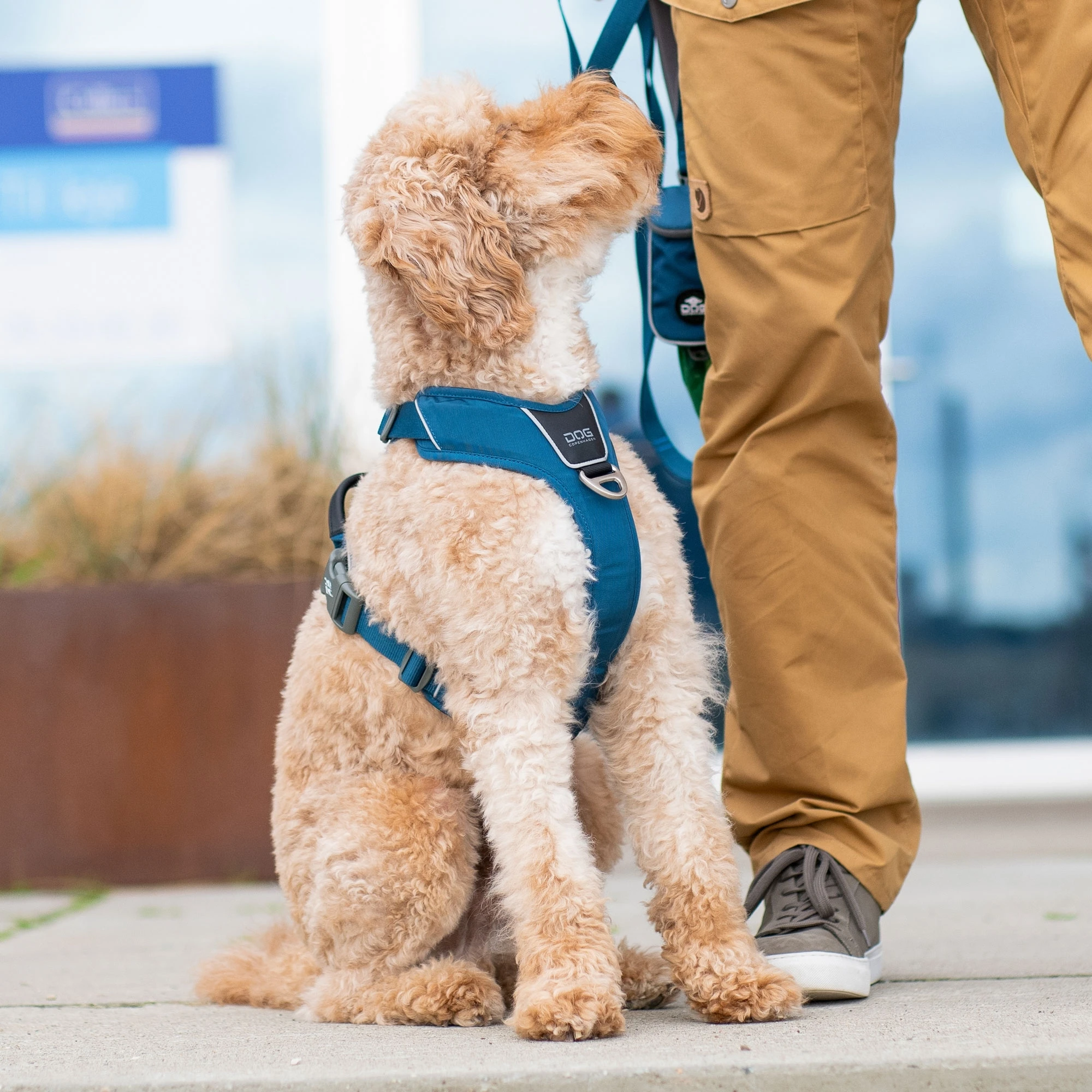 DOG Copenhagen tuig | Comfort Walk Pro Oranje