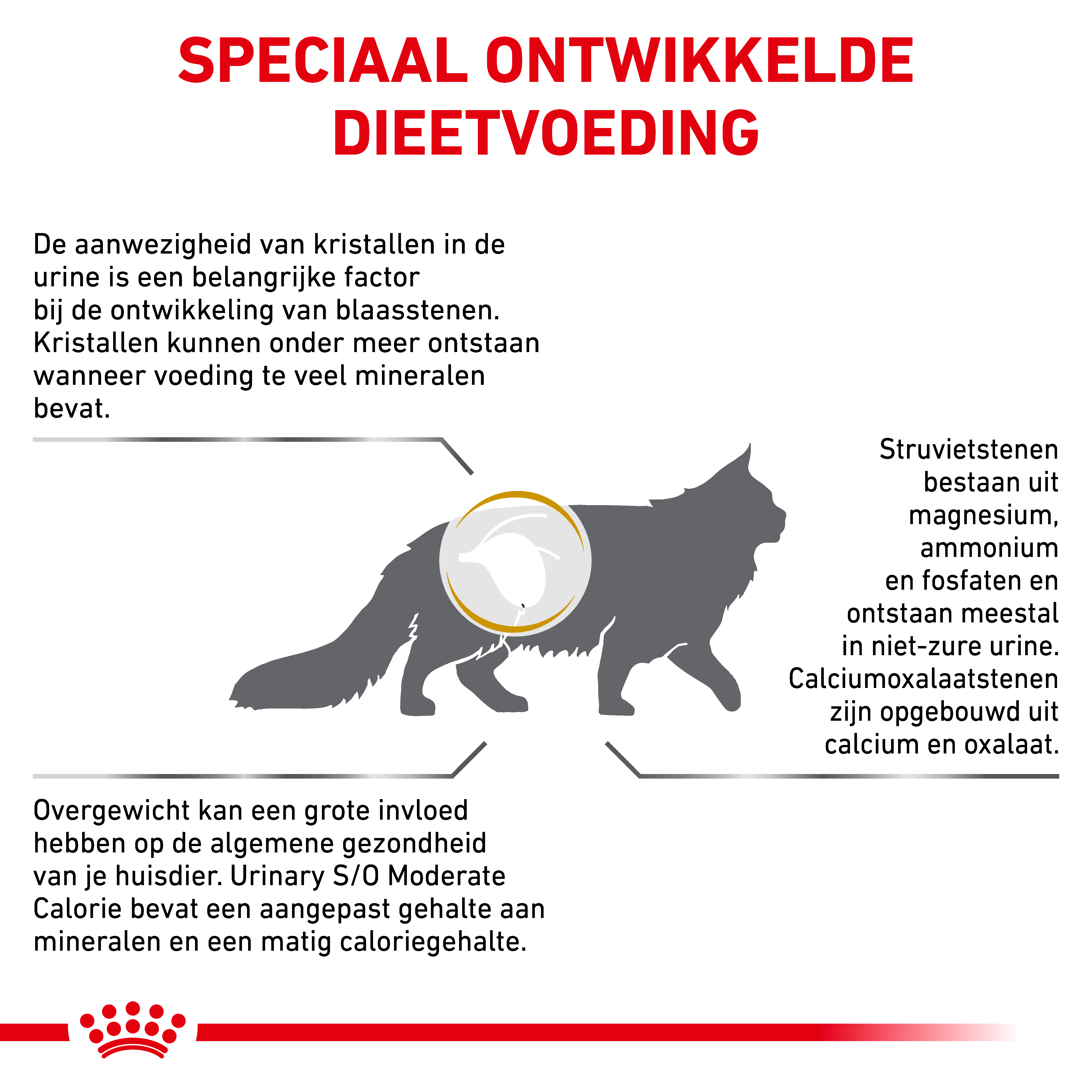 Royal Canin Veterinary Cat Urinary S/O Moderate Calorie