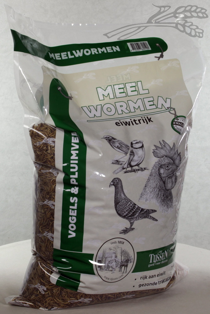 Tijssen Meelwormen