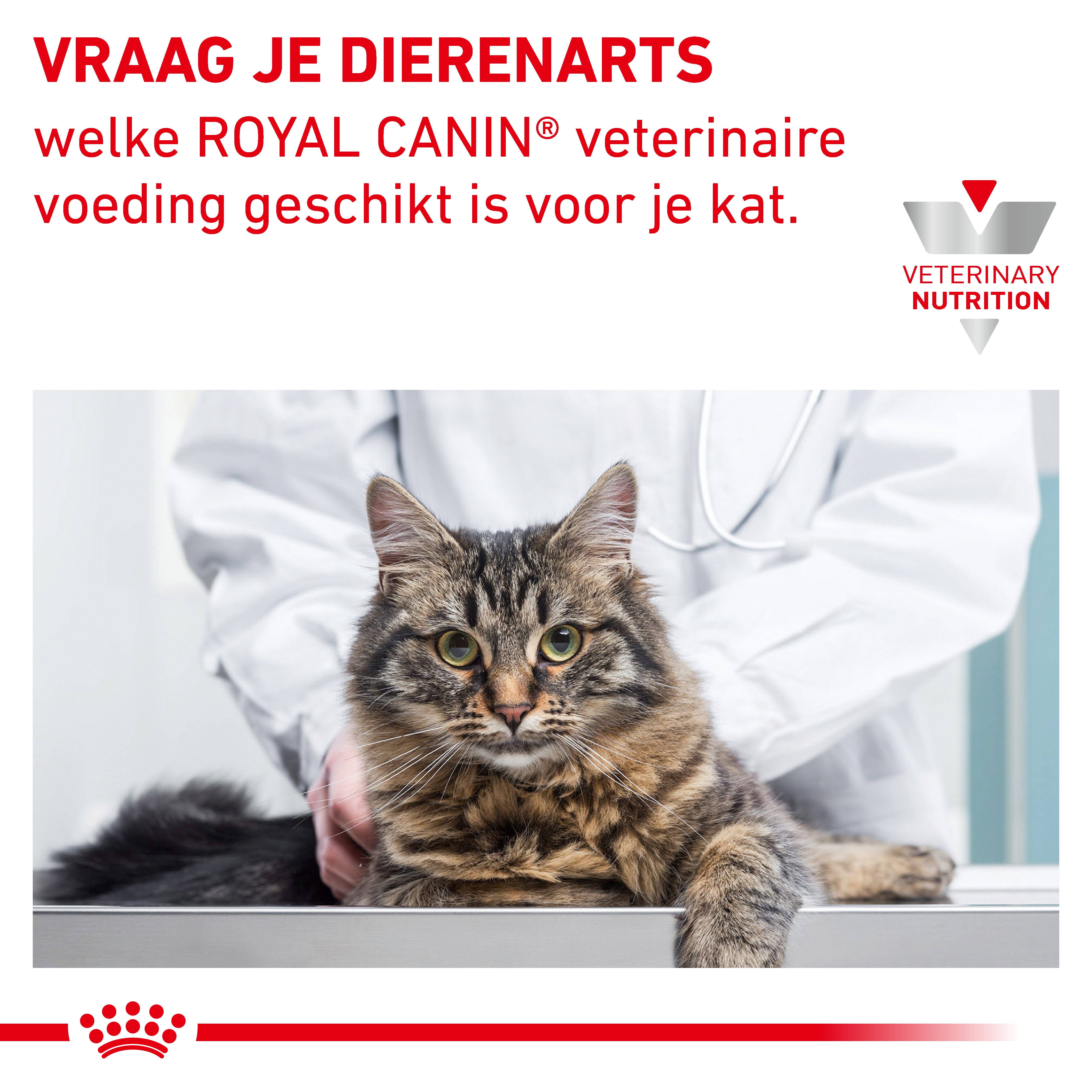 Royal Canin Veterinary Cat Anallergenic
