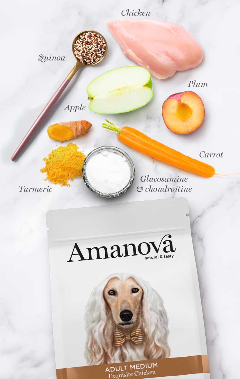 Amanova Adult Medium Exquisite Chicken