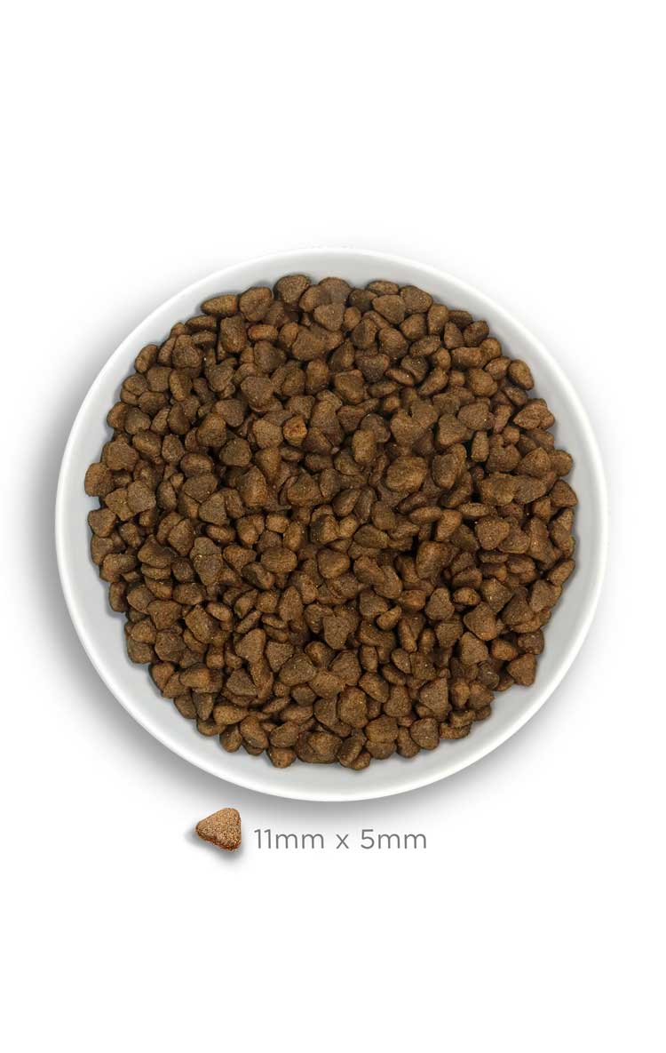 Amanova Adult Mini Sensitive Delicious Lamb